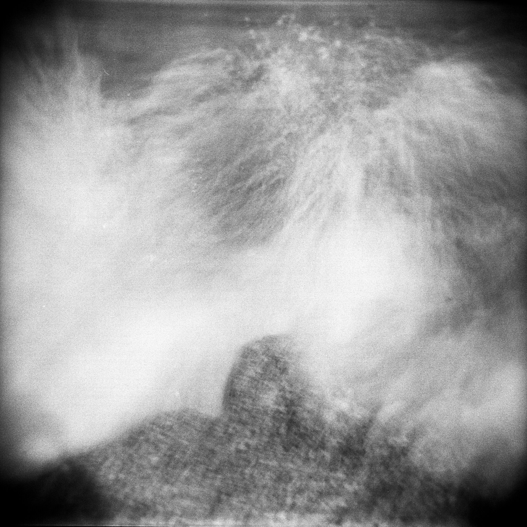 holga beach galveston labor day 2019 (18 of 7).jpg