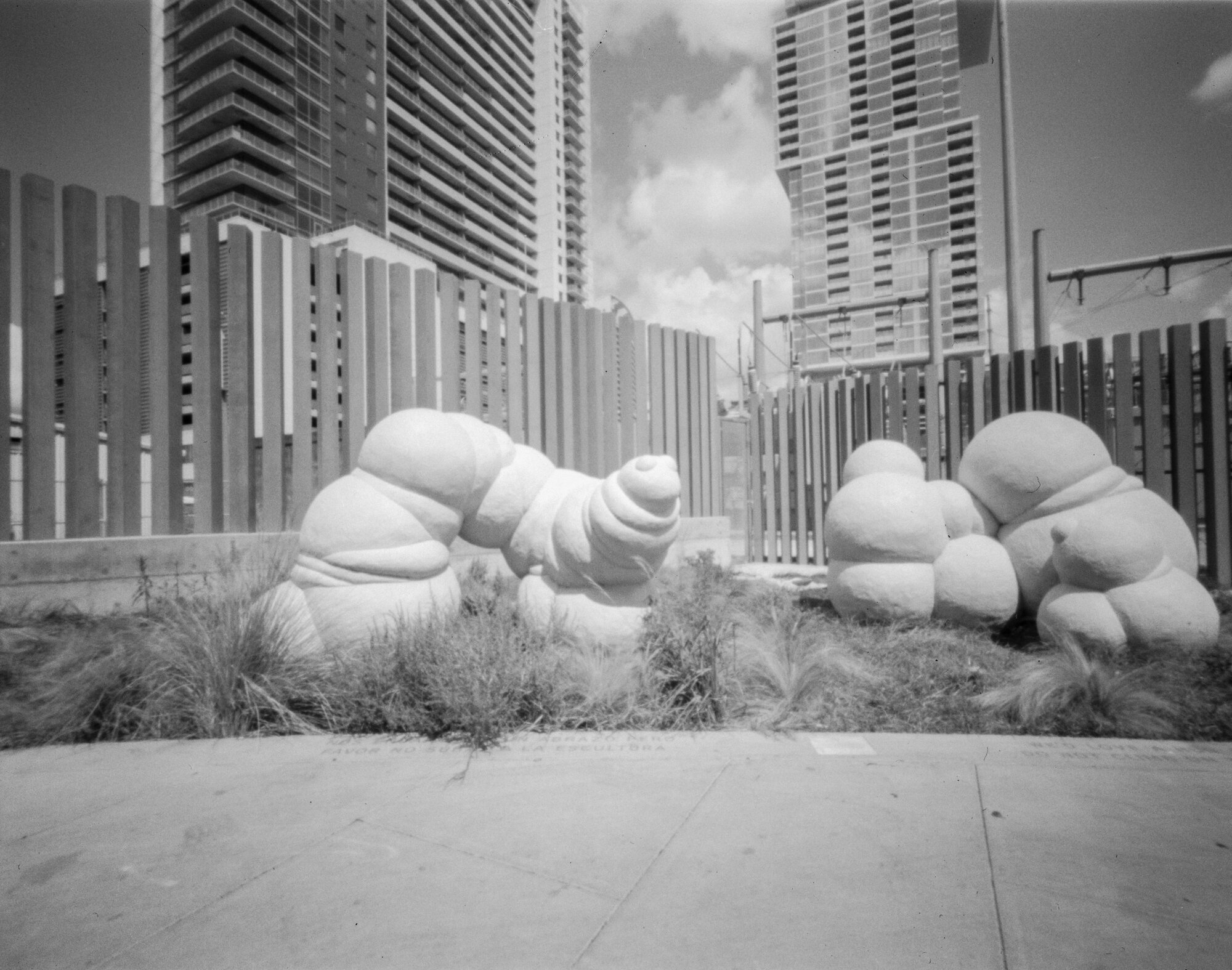 ondu 4x5 rise downtown austin sept 2019 (5 of 12).jpg