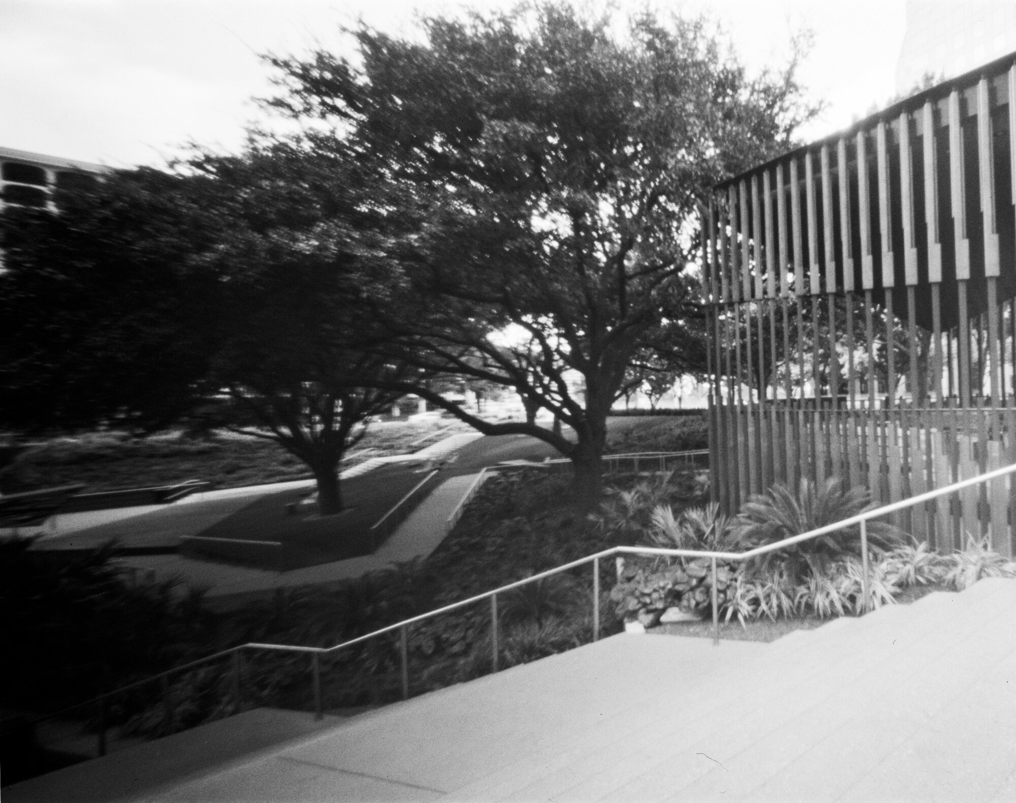 ondu 4x5 rise downtown austin sept 2019 (12 of 12).jpg