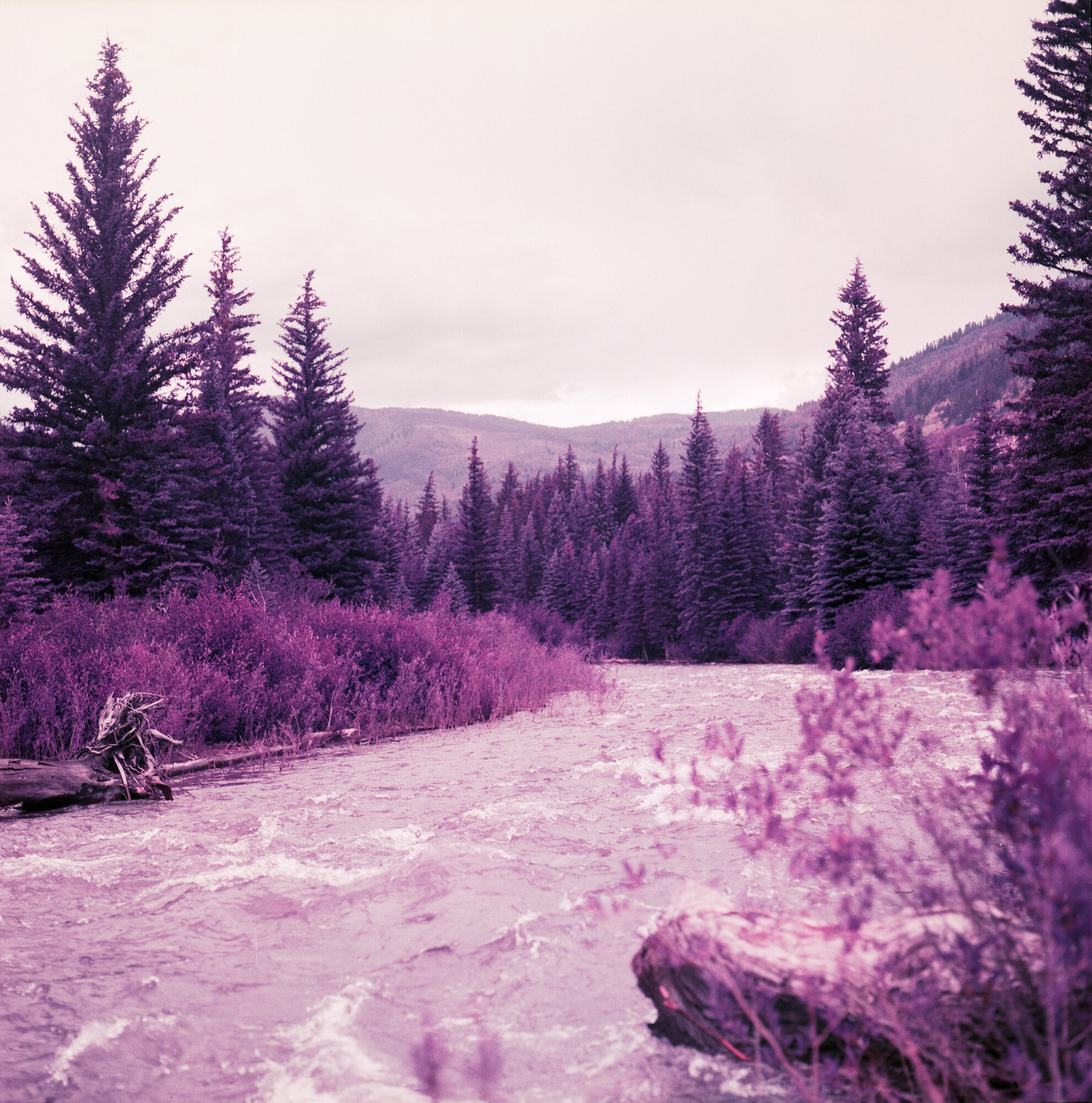  Crystal River (I think), in Colorado 