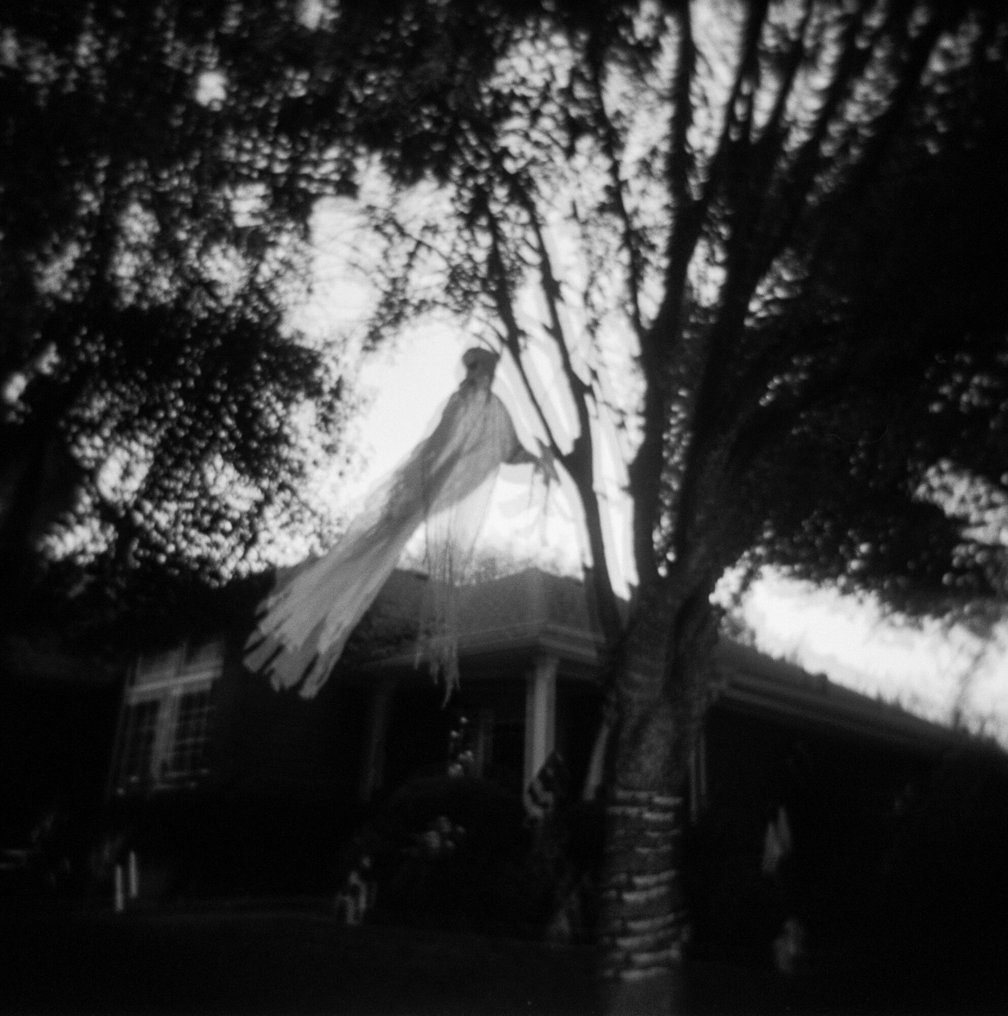 Halloween post finals (1 of 2).jpg