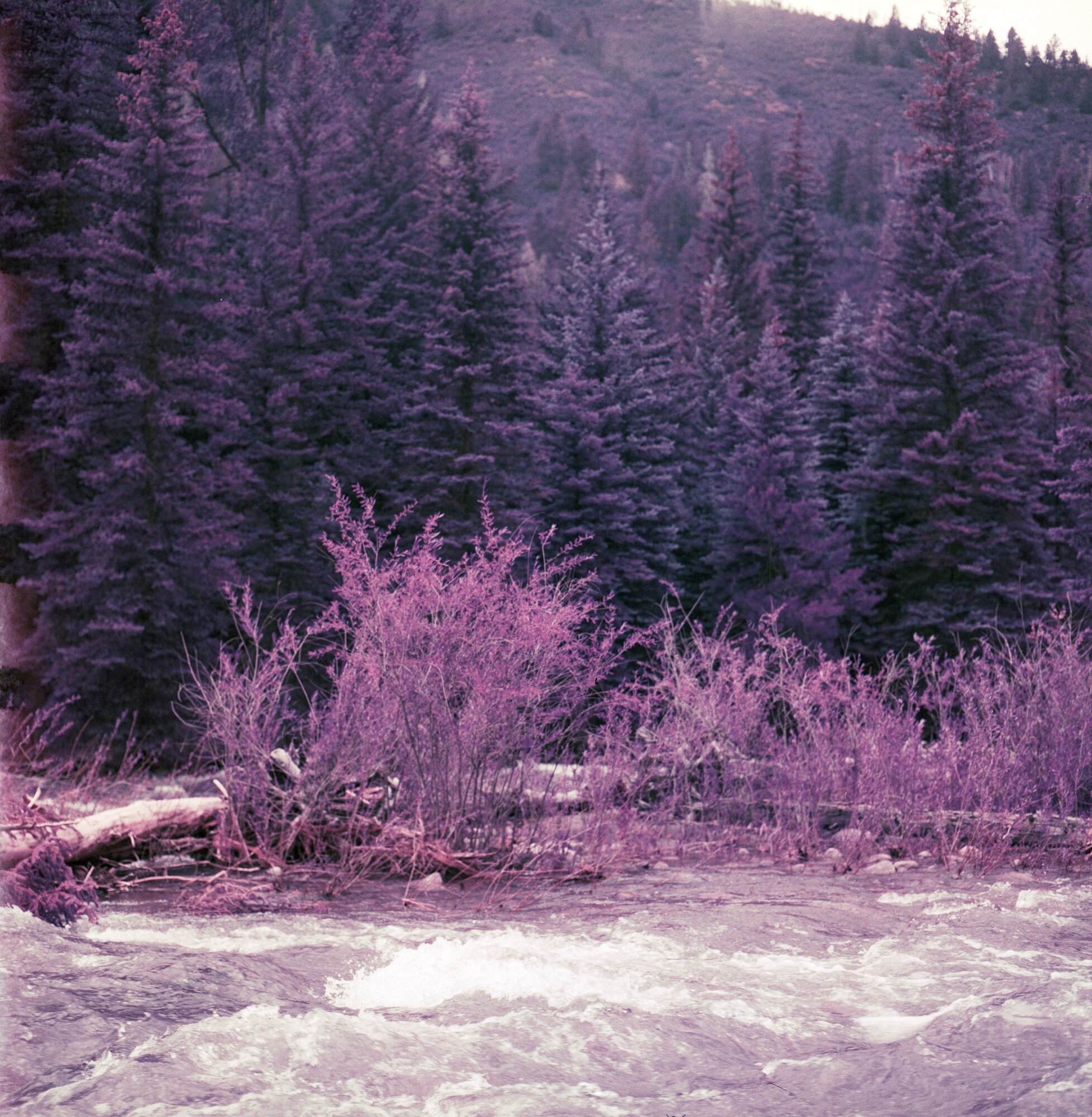  Also the Crystal River, in Colorado 