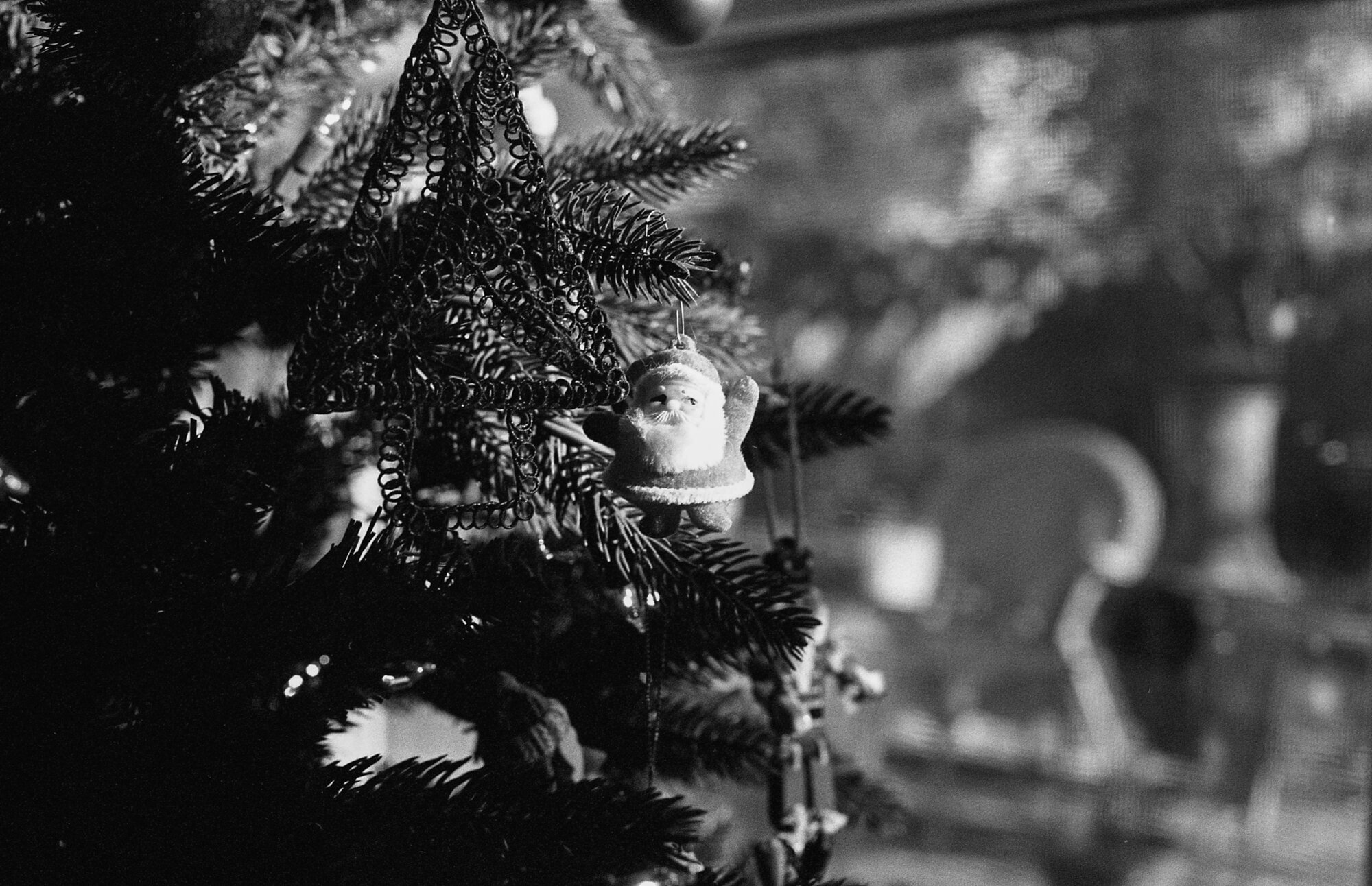 thanksgiving post (4 of 5).jpg