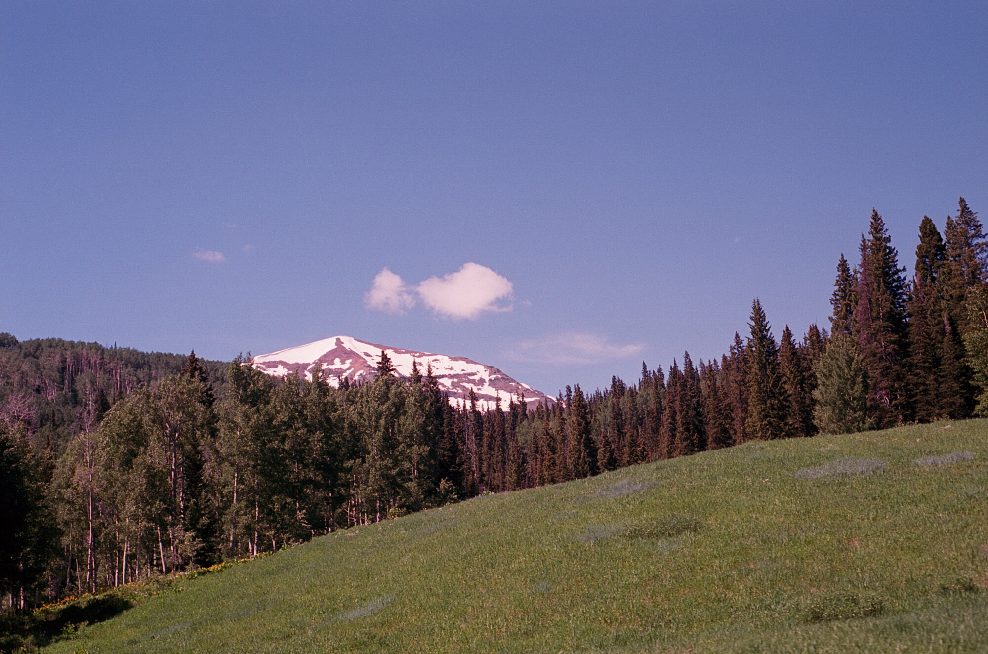 ITW color for peace (4 of 4).jpg