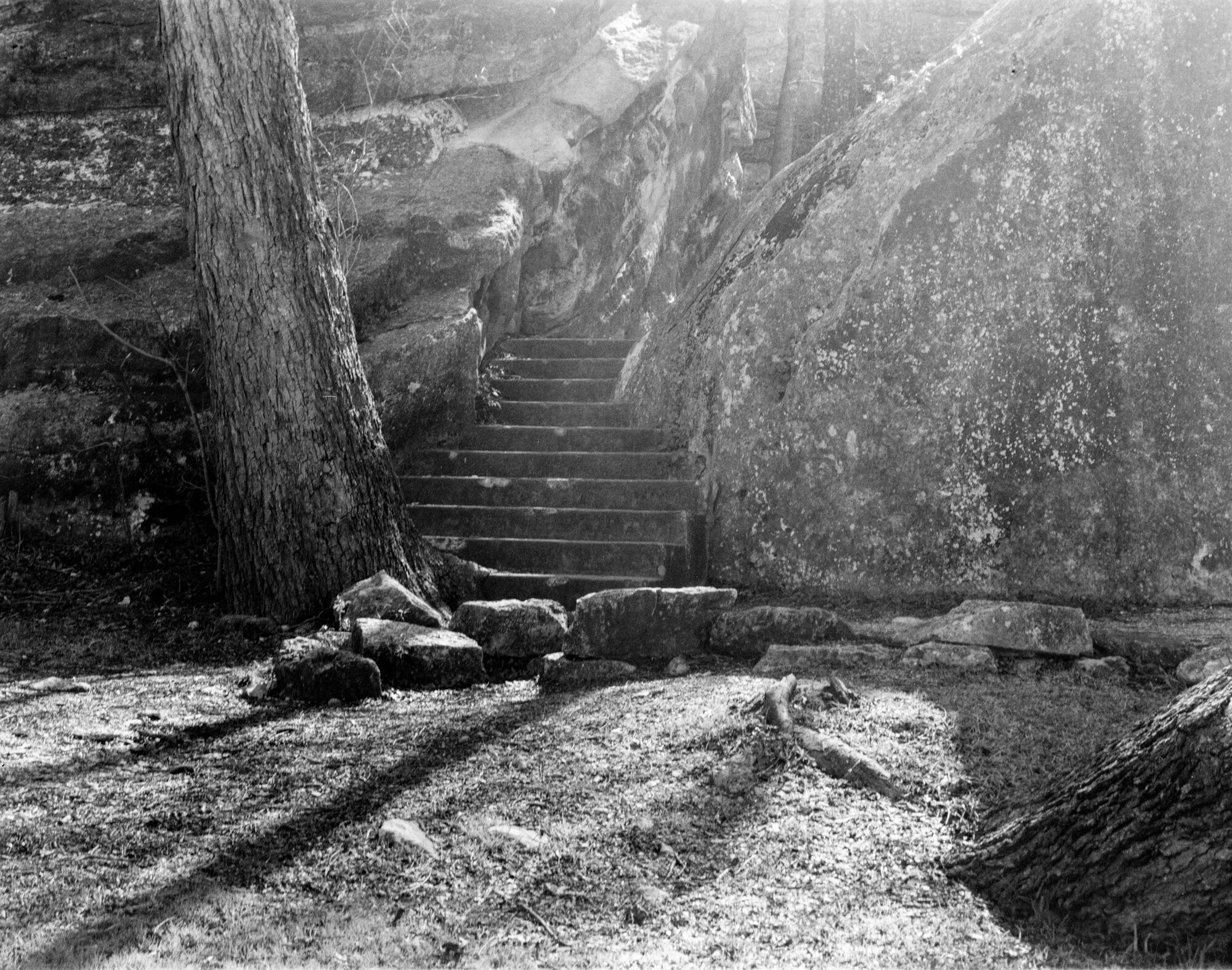 bull creek deardorff jan 2020 (1 of 7).jpg