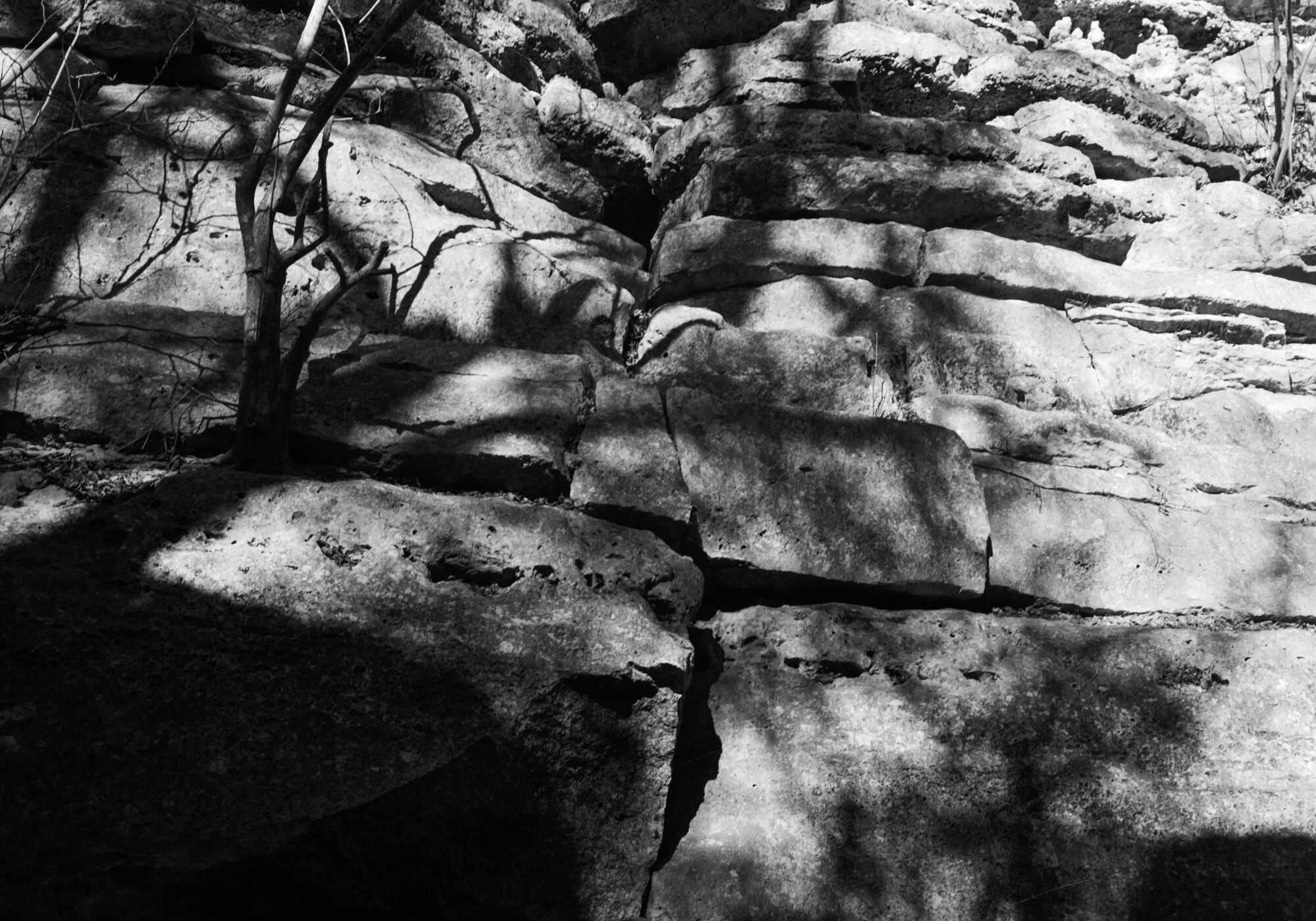 bull creek deardorff jan 2020 (6 of 7).jpg