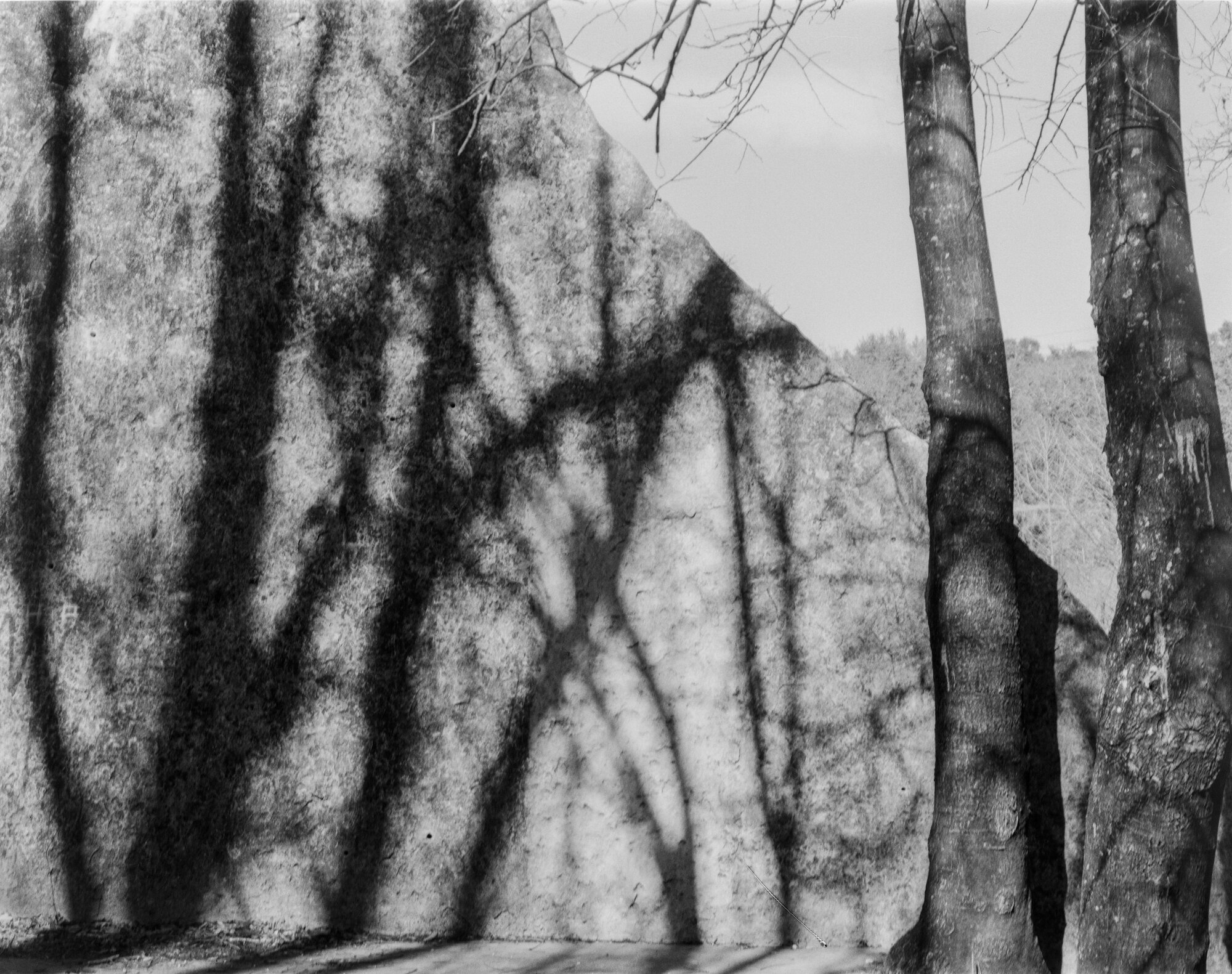 bull creek deardorff jan 2020 (4 of 7).jpg