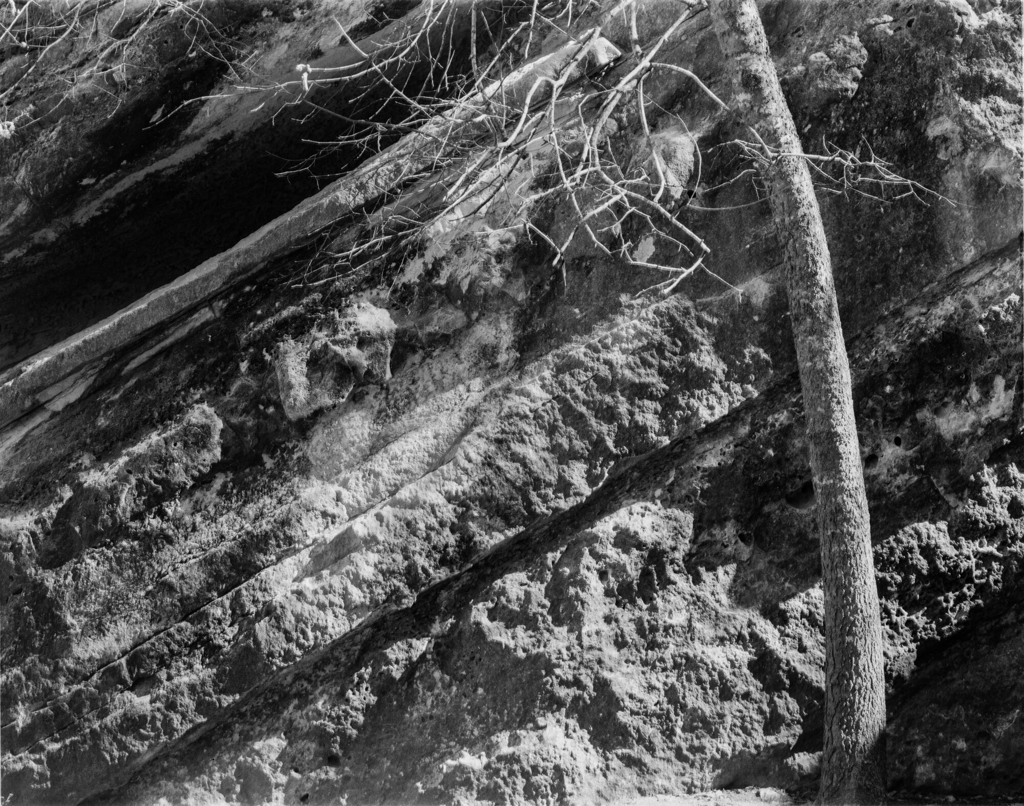 bull creek deardorff jan 2020 (5 of 7).jpg