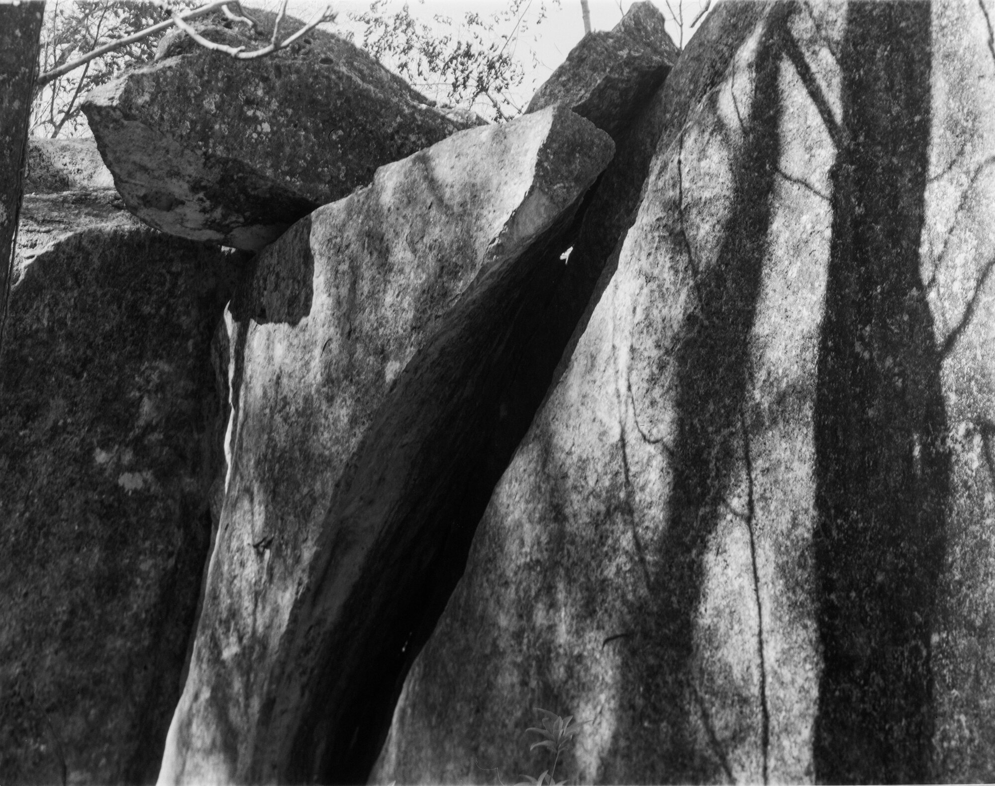 bull creek deardorff jan 2020 (3 of 7).jpg