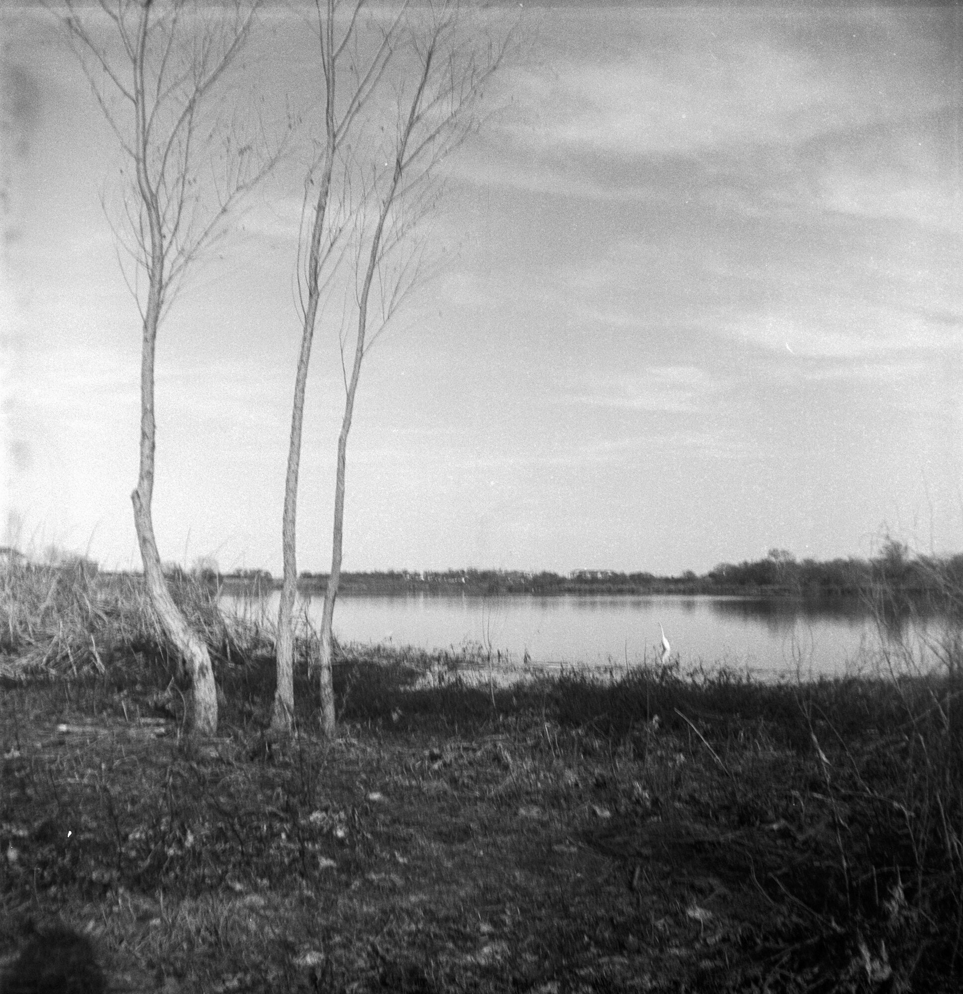 NYE 2019 brownie (5 of 5).jpg