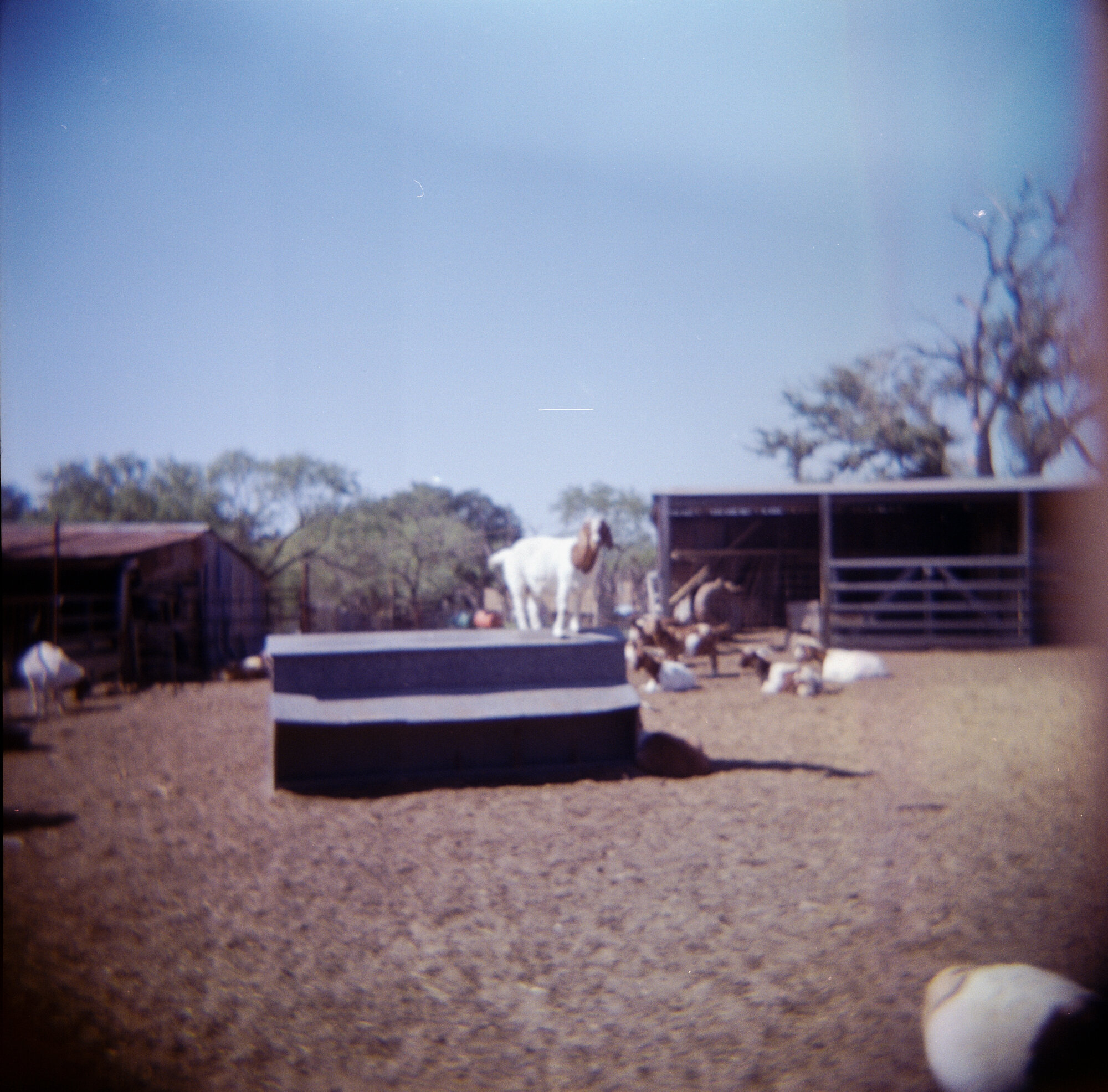messed up 2019 holga self dev  (11 of 11).jpg