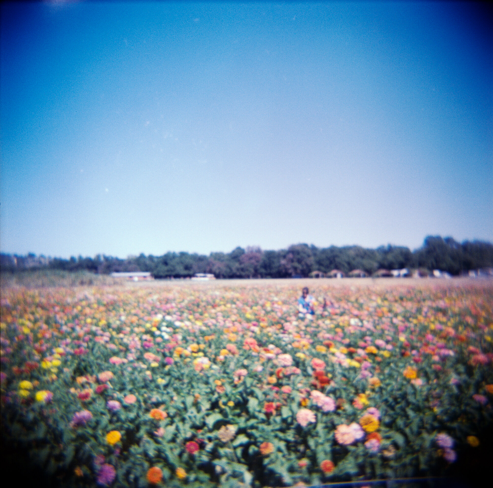 messed up 2019 holga self dev  (9 of 11).jpg