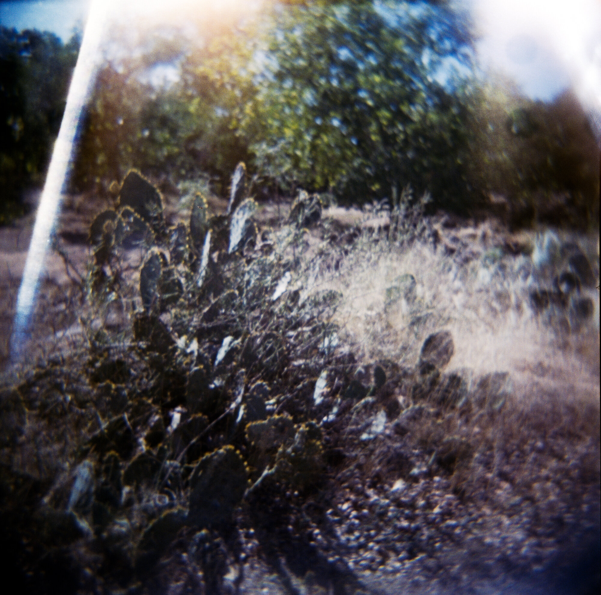 messed up 2019 HOlga self dev  (7 of 11).jpg