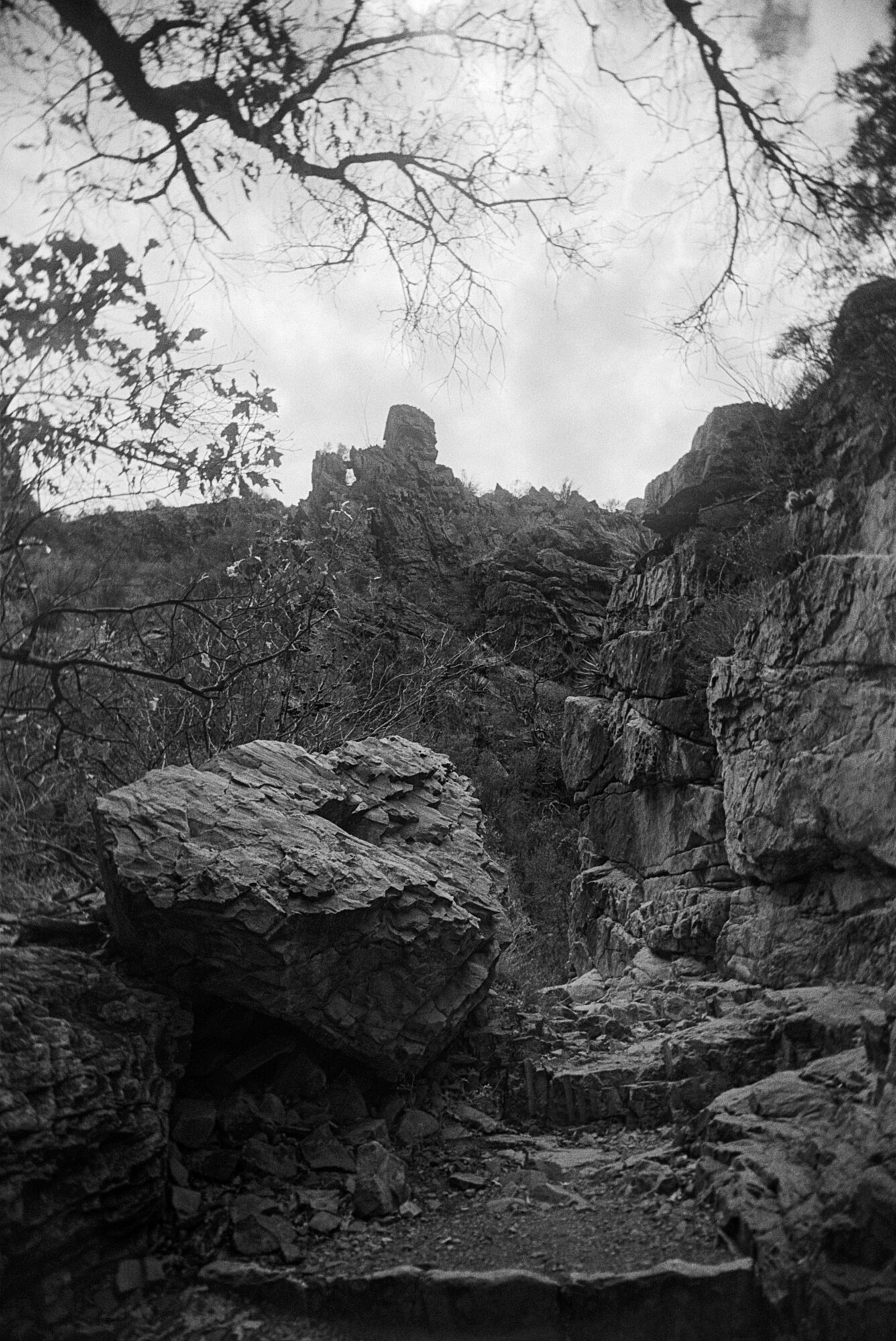 Big Bend 2020 window trail vivitar UWS (1 of 4).jpg