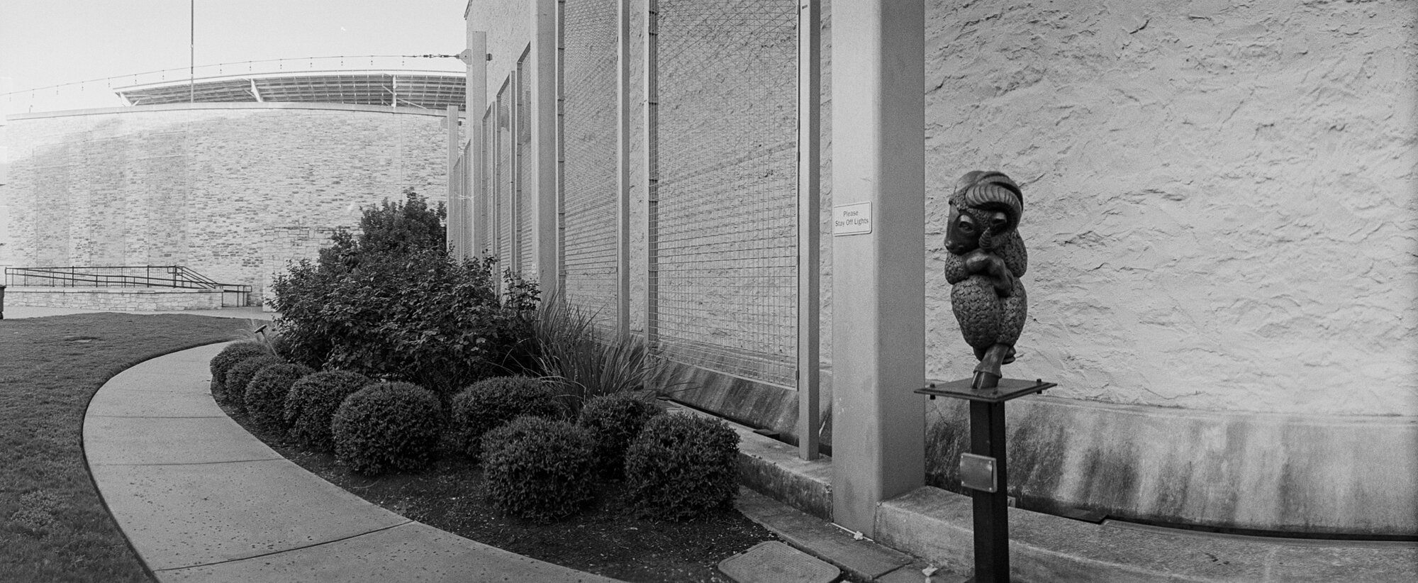 rr photowalk with louise aug 2020 widelux (5 of 12).jpg