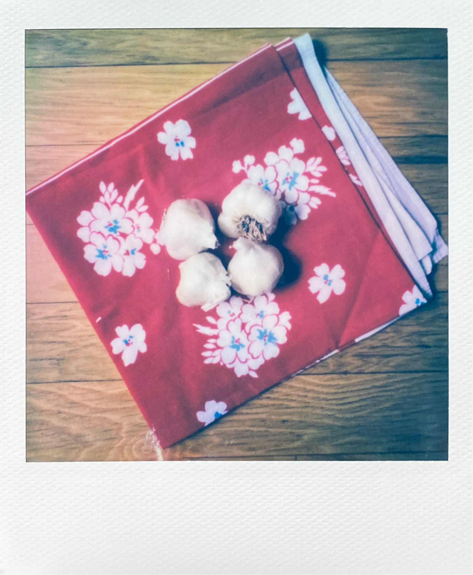 kitchen collection polaroids (8 of 13).jpg