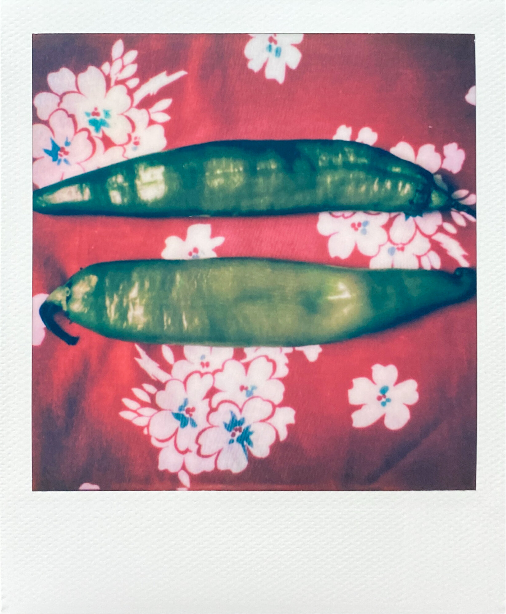 kitchen collection polaroids (6 of 13).jpg