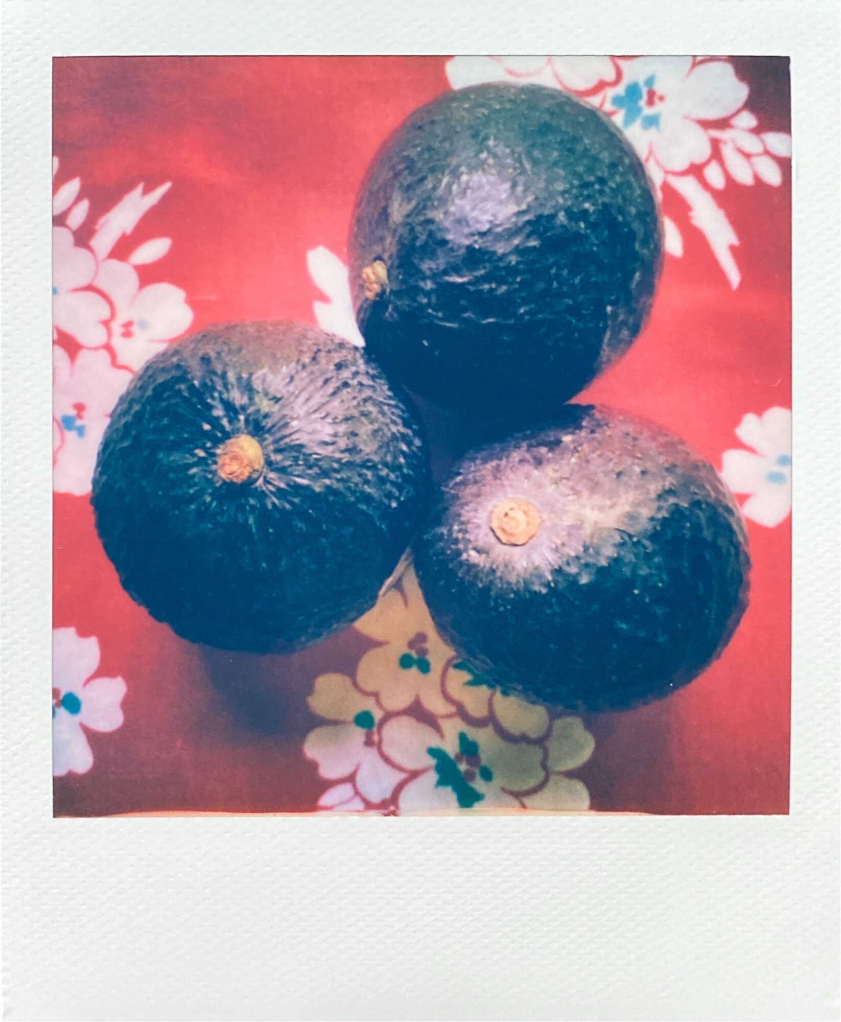 kitchen collection polaroids (5 of 13).jpg