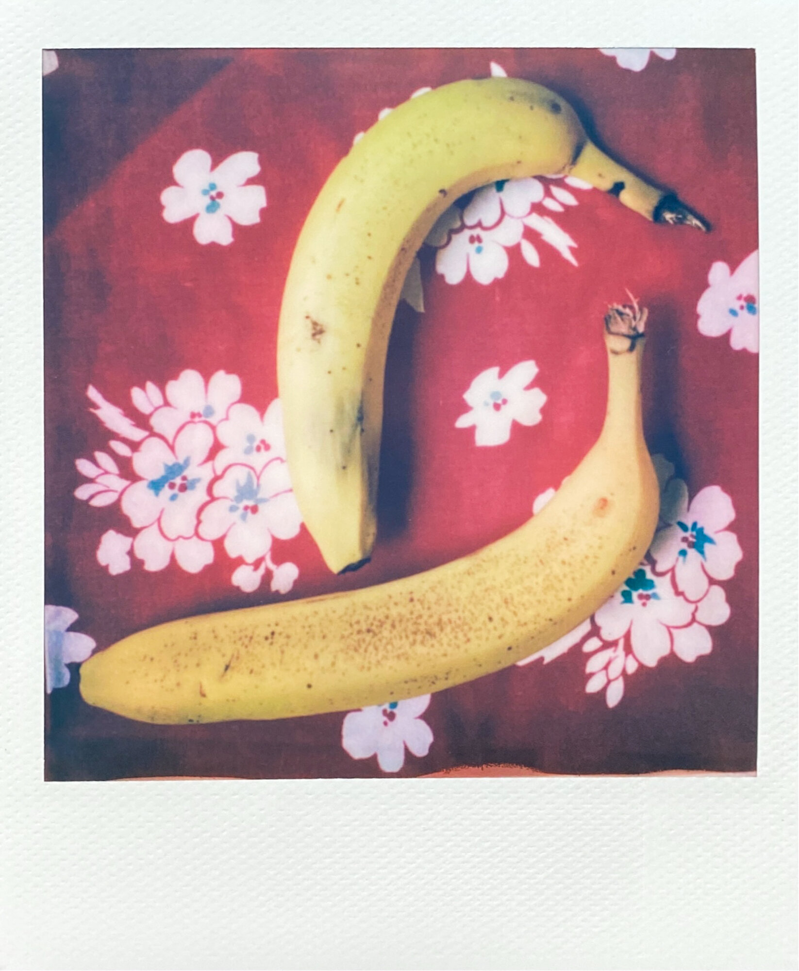 kitchen collection polaroids (2 of 13).jpg