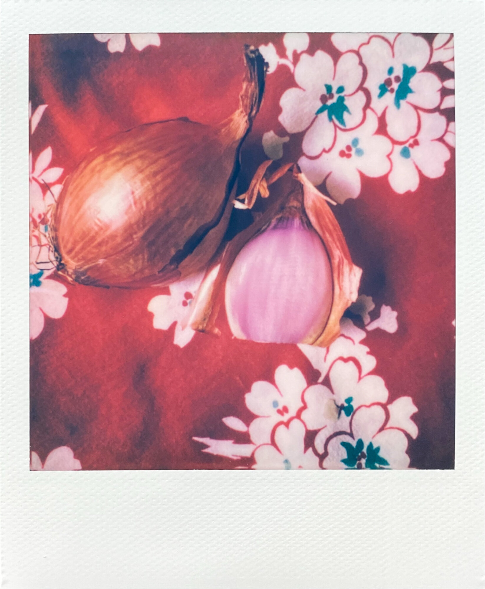 kitchen collection polaroids (3 of 13).jpg