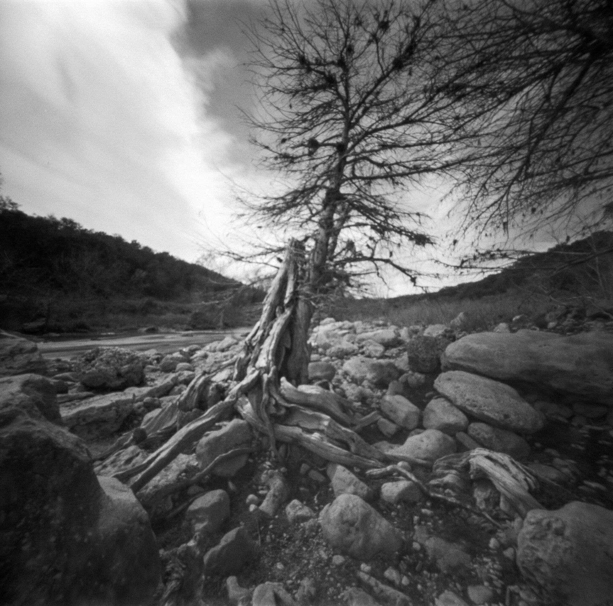 Pedernales pinhole 2020 (5 of 8).jpg
