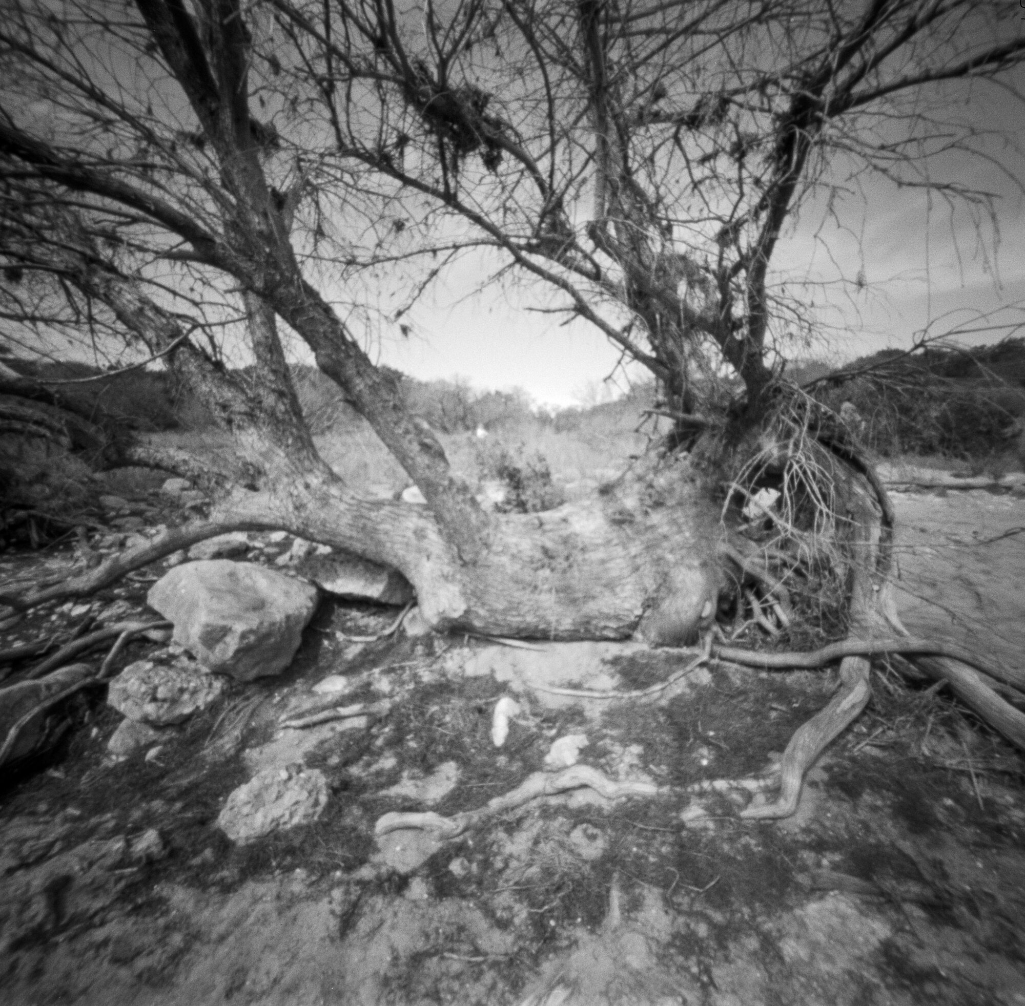 Pedernales pinhole 2020 (3 of 8).jpg