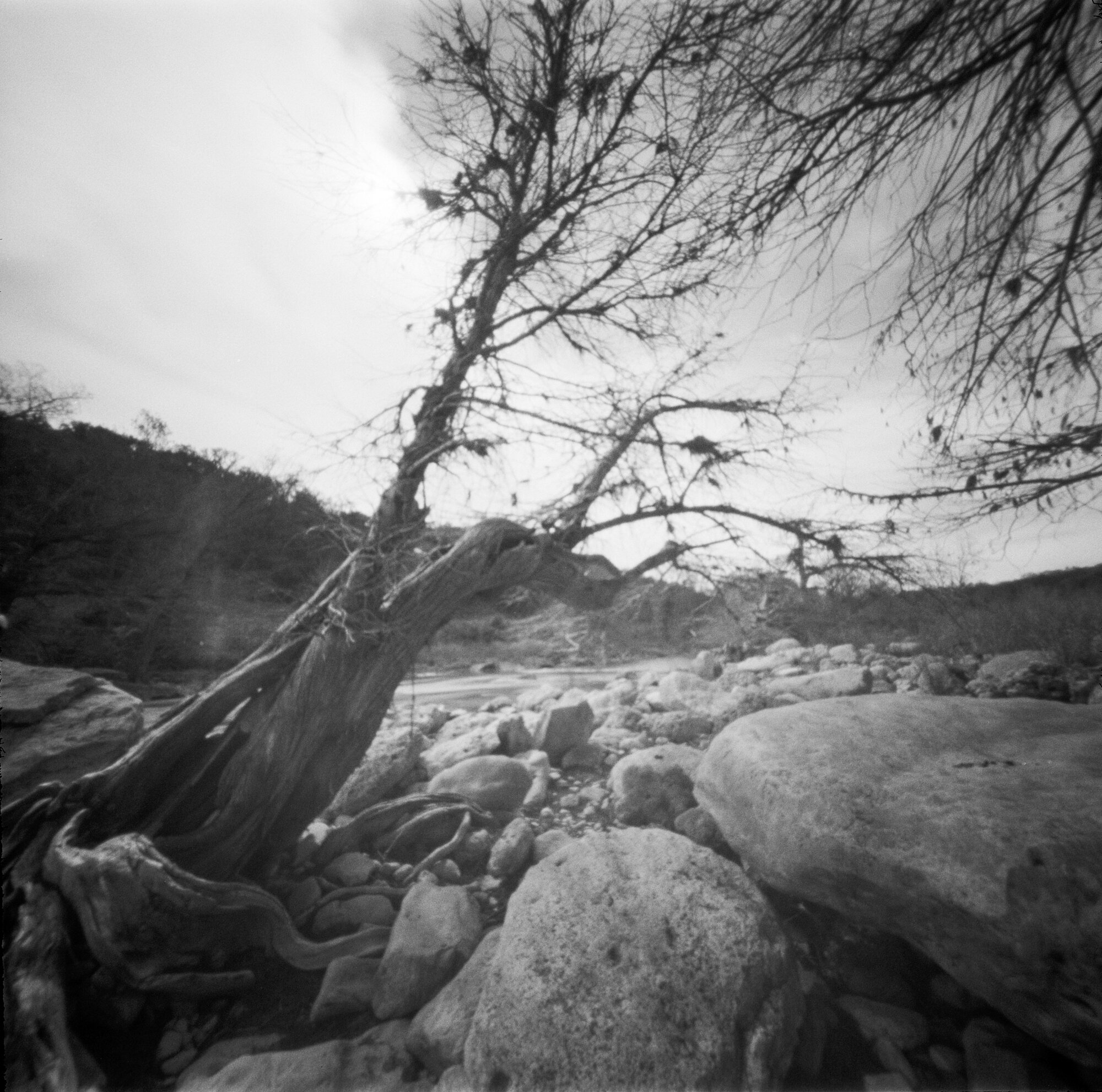 Pedernales pinhole 2020 (1 of 8).jpg