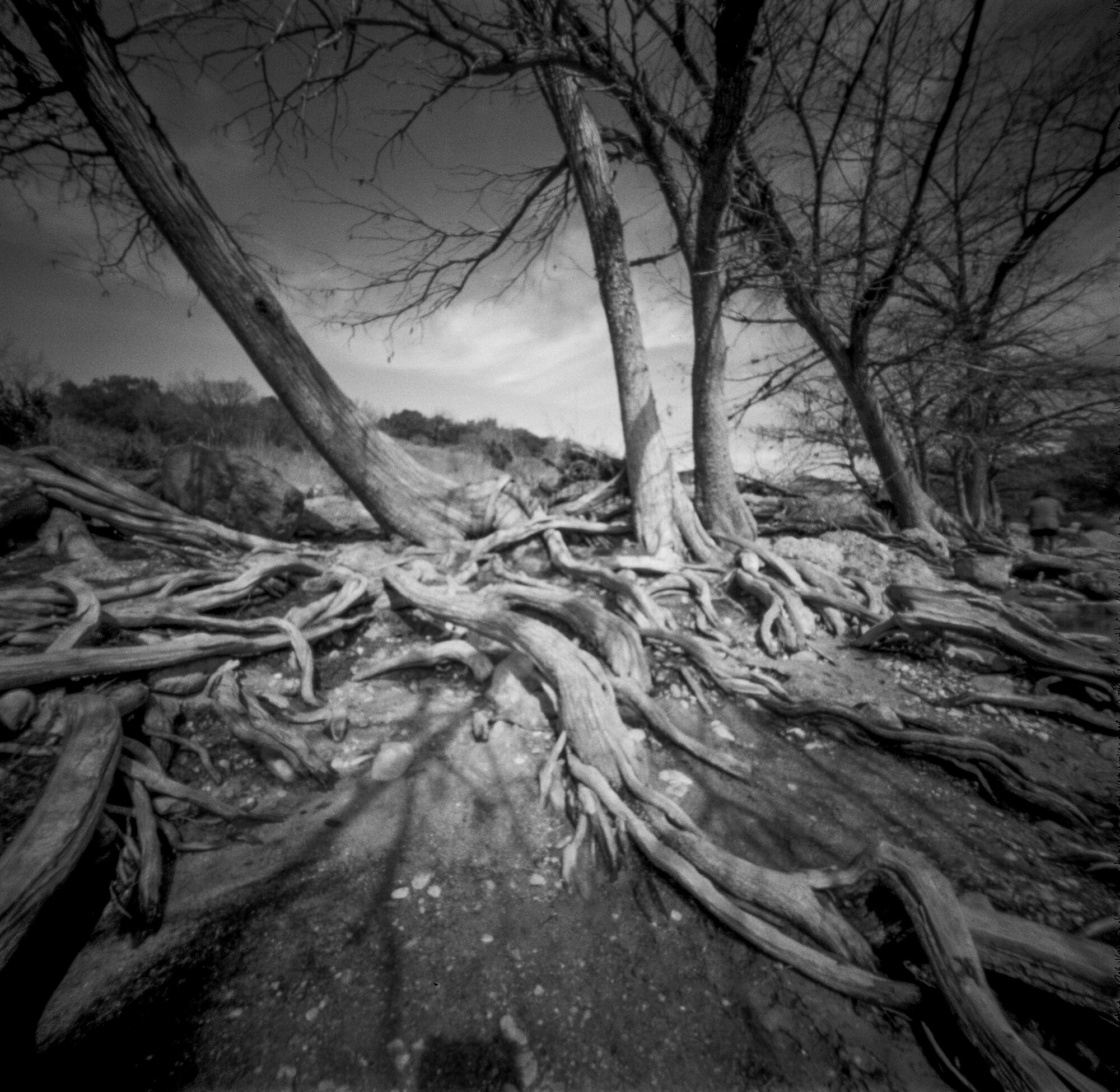 Pedernales pinhole 2020 (8 of 8).jpg