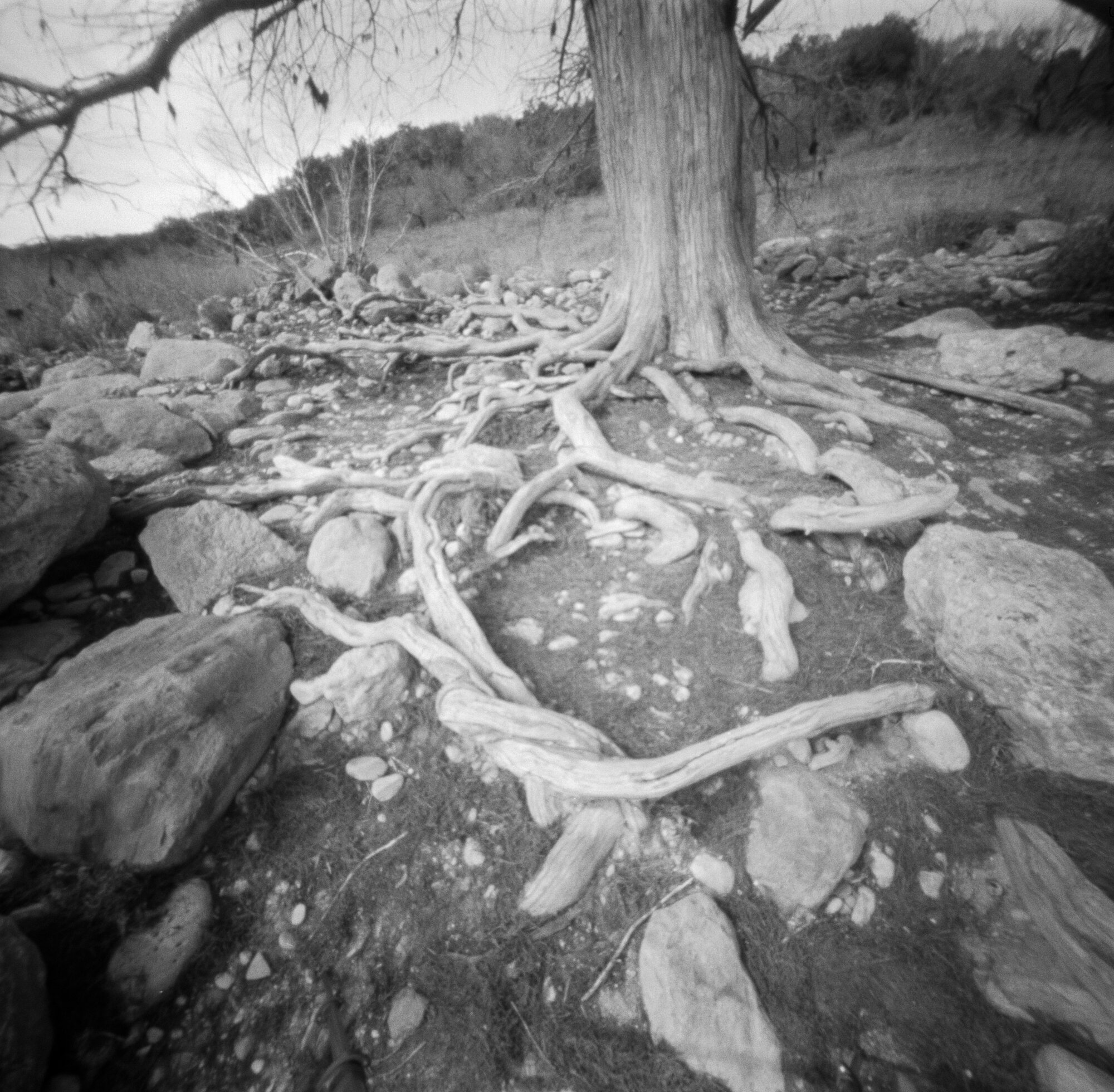 Pedernales pinhole 2020 (4 of 8).jpg