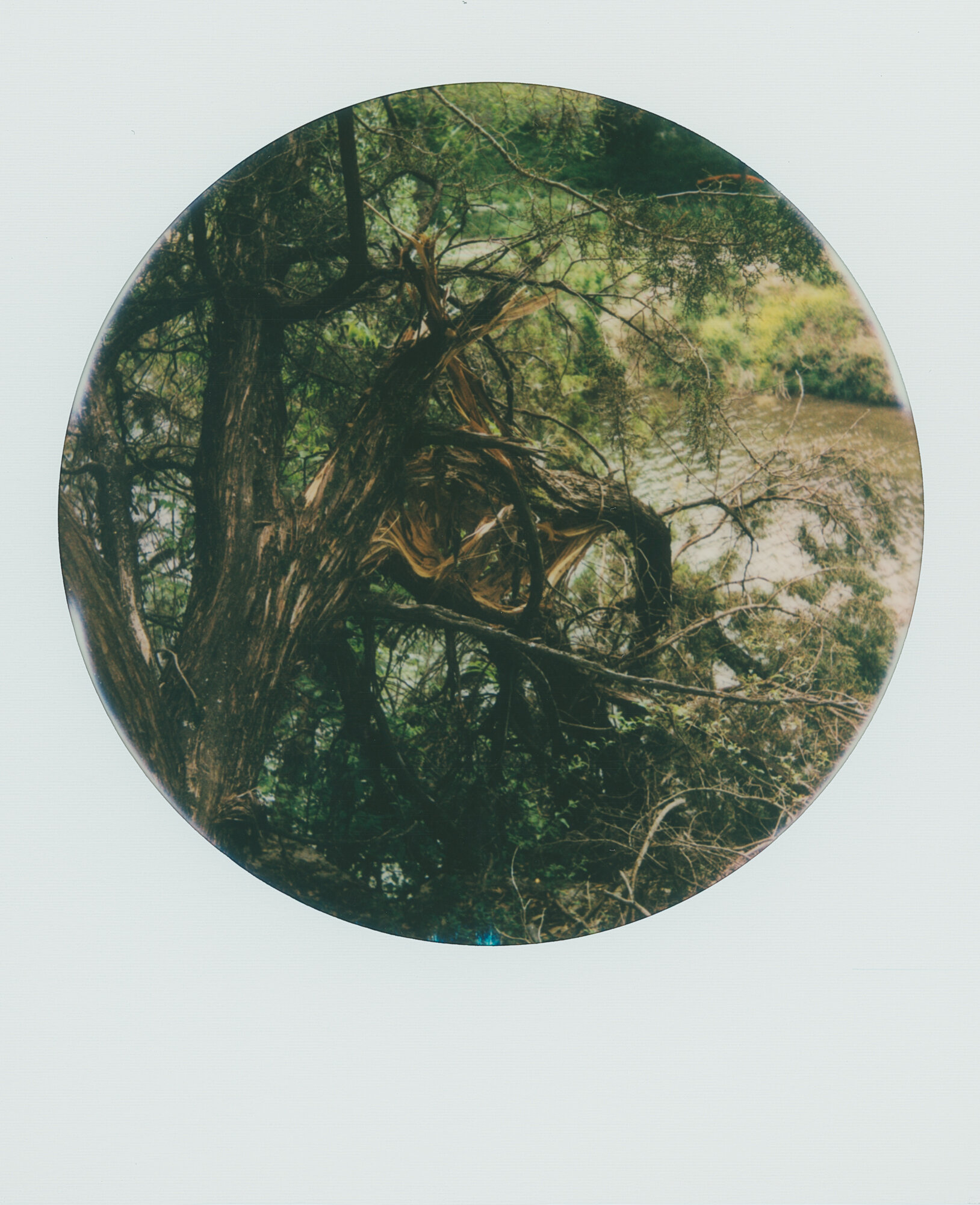 Round Frame 1 (3 of 8).jpg