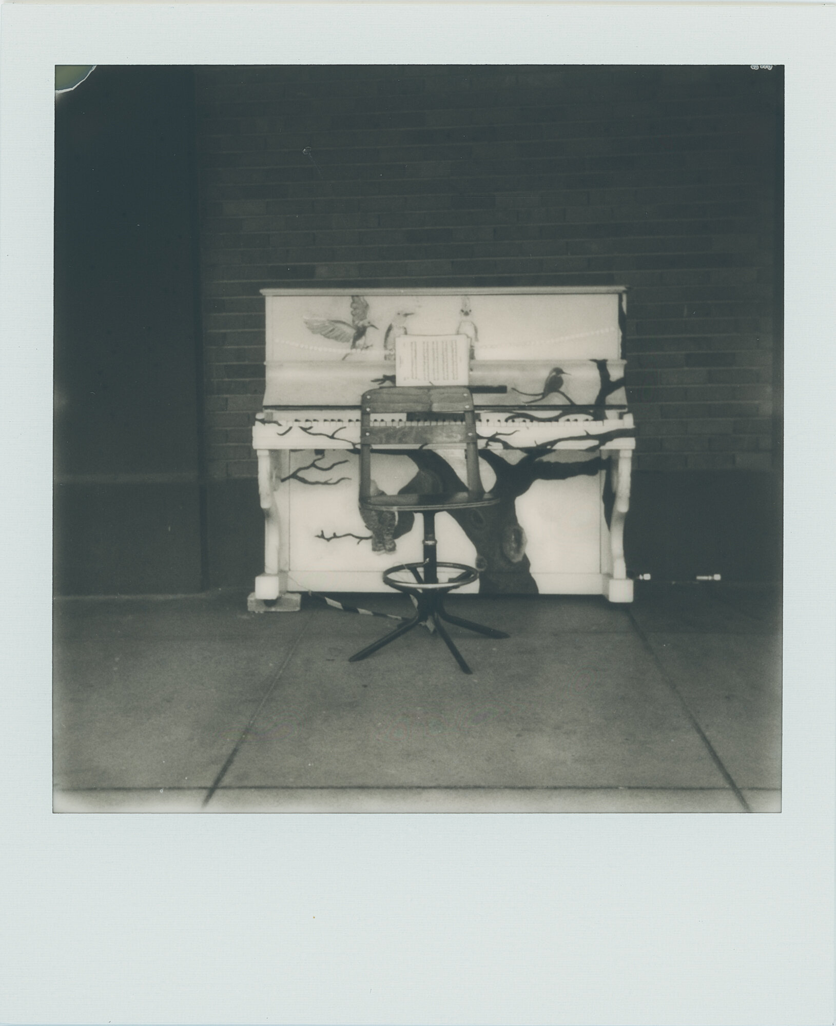 Taylor TX polaroids (1 of 8).jpg