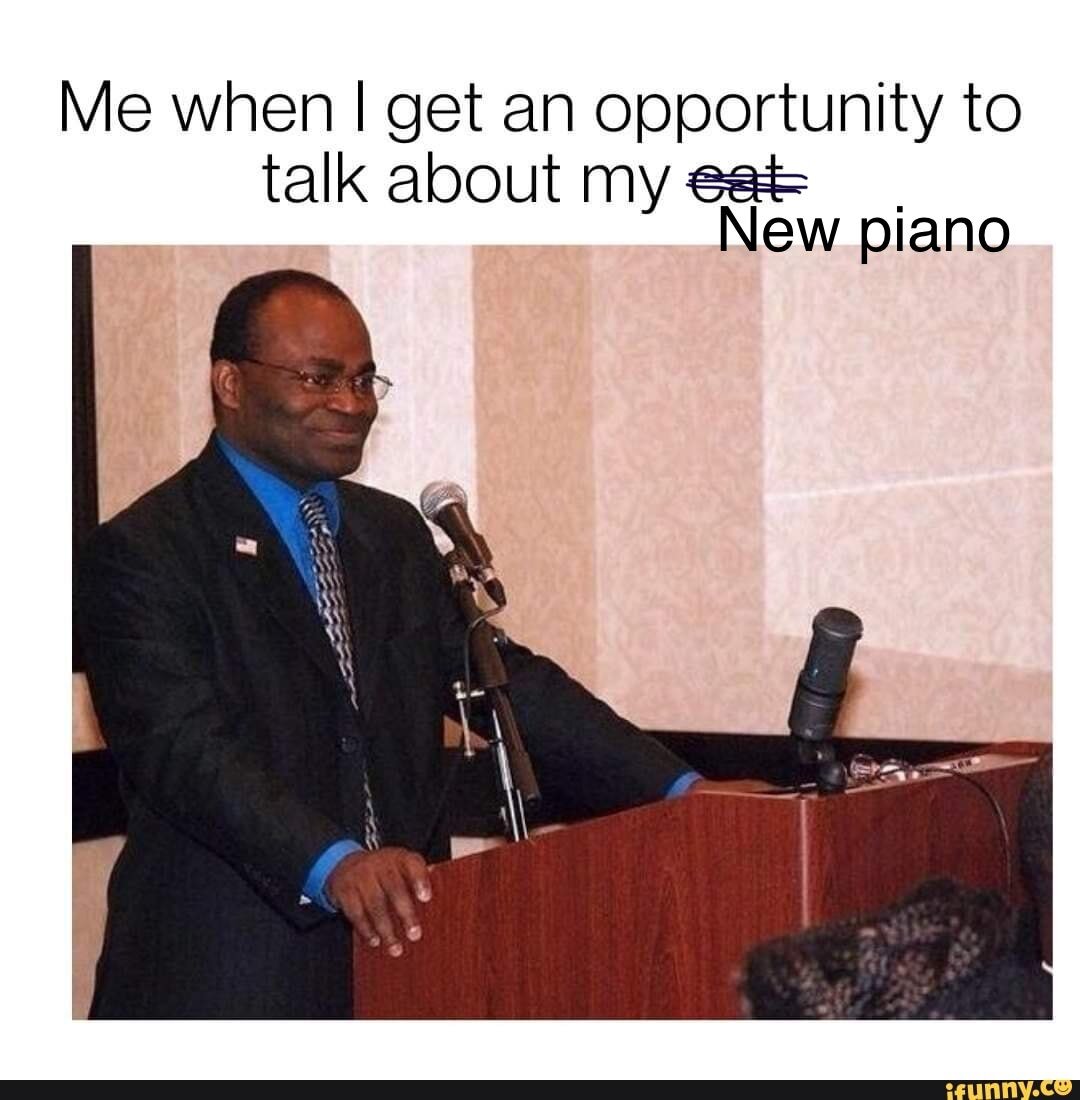 I don’t know who originally made this meme, but I love it every time I see it (crossing out cat will do for my purposes since really, I feel this way about both my piano AND my cat)