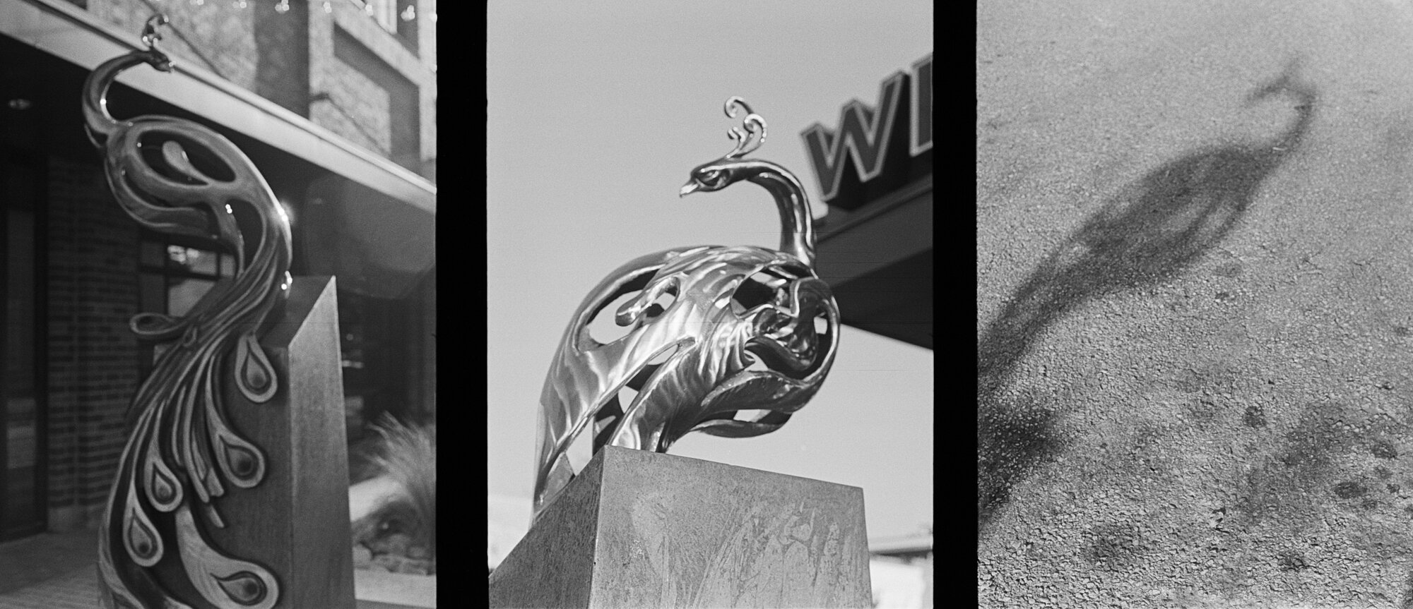 Pen F georgetown plus (6 of 24).jpg