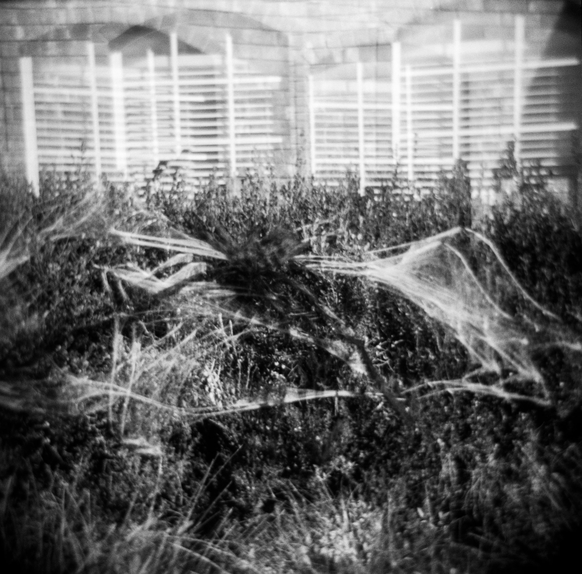 halloween 2019 (2 of 5).jpg