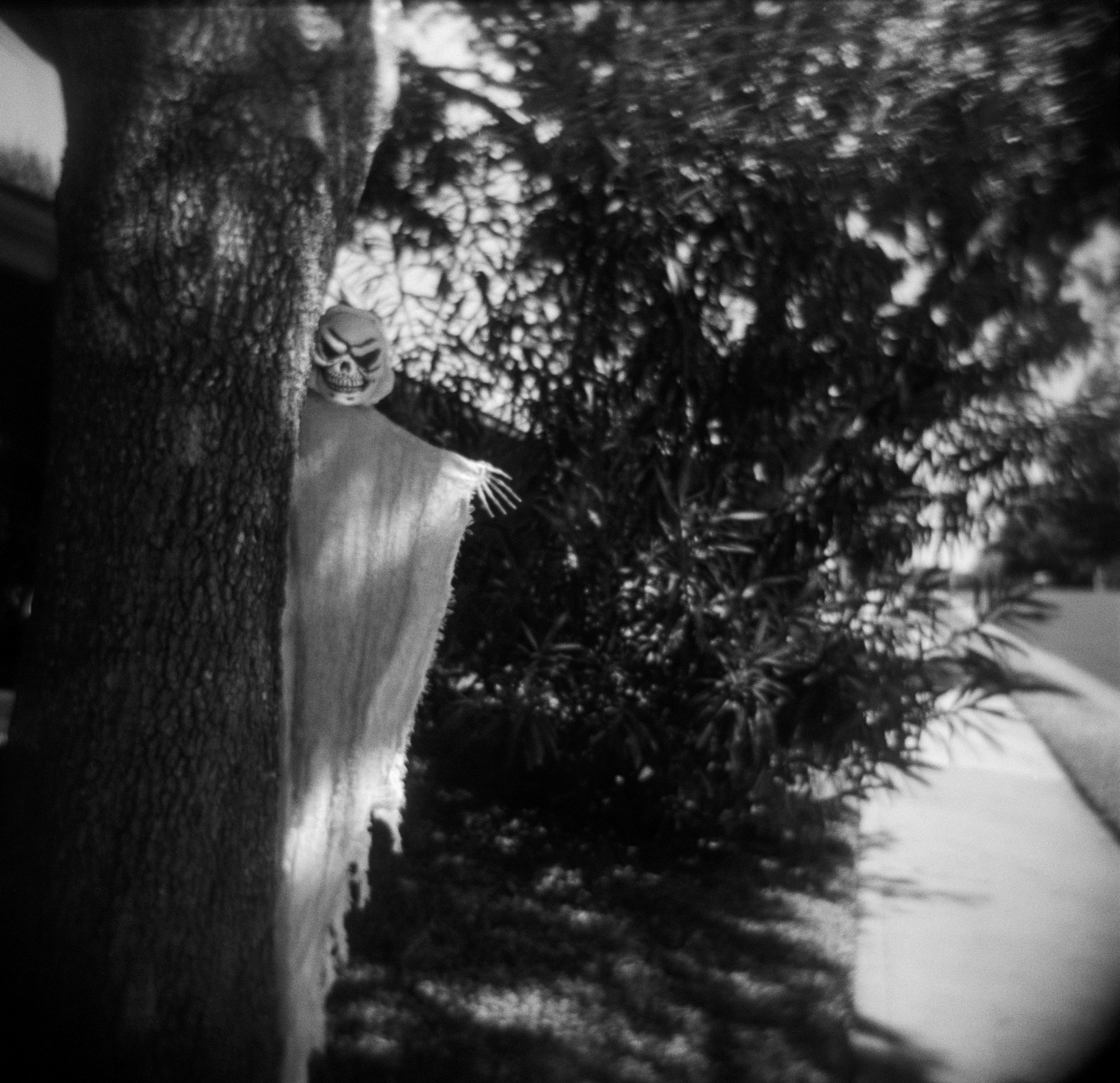 halloween 2020 (1 of 2).jpg