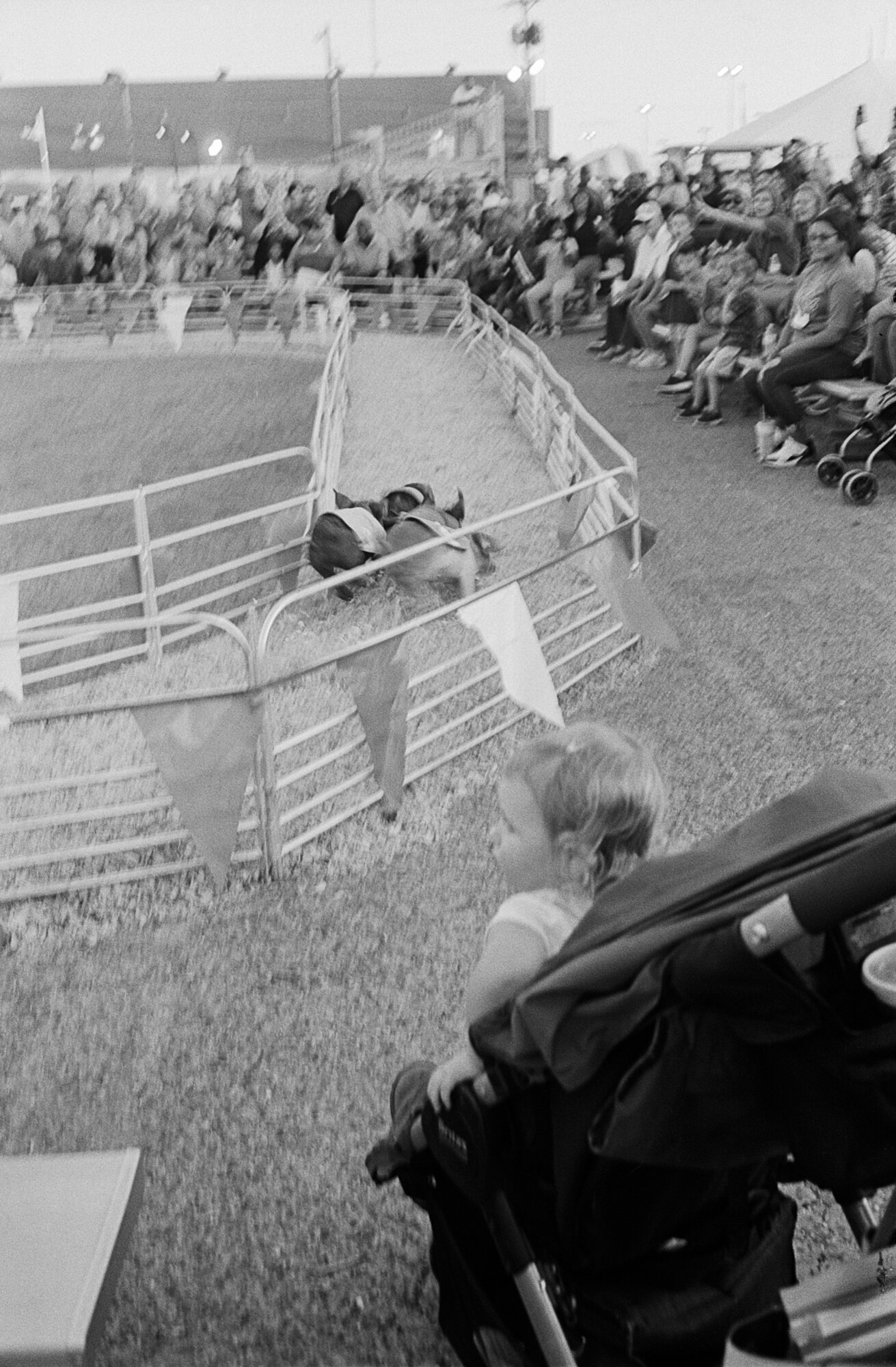 HOT fair 2019 canonet (1 of 13).jpg