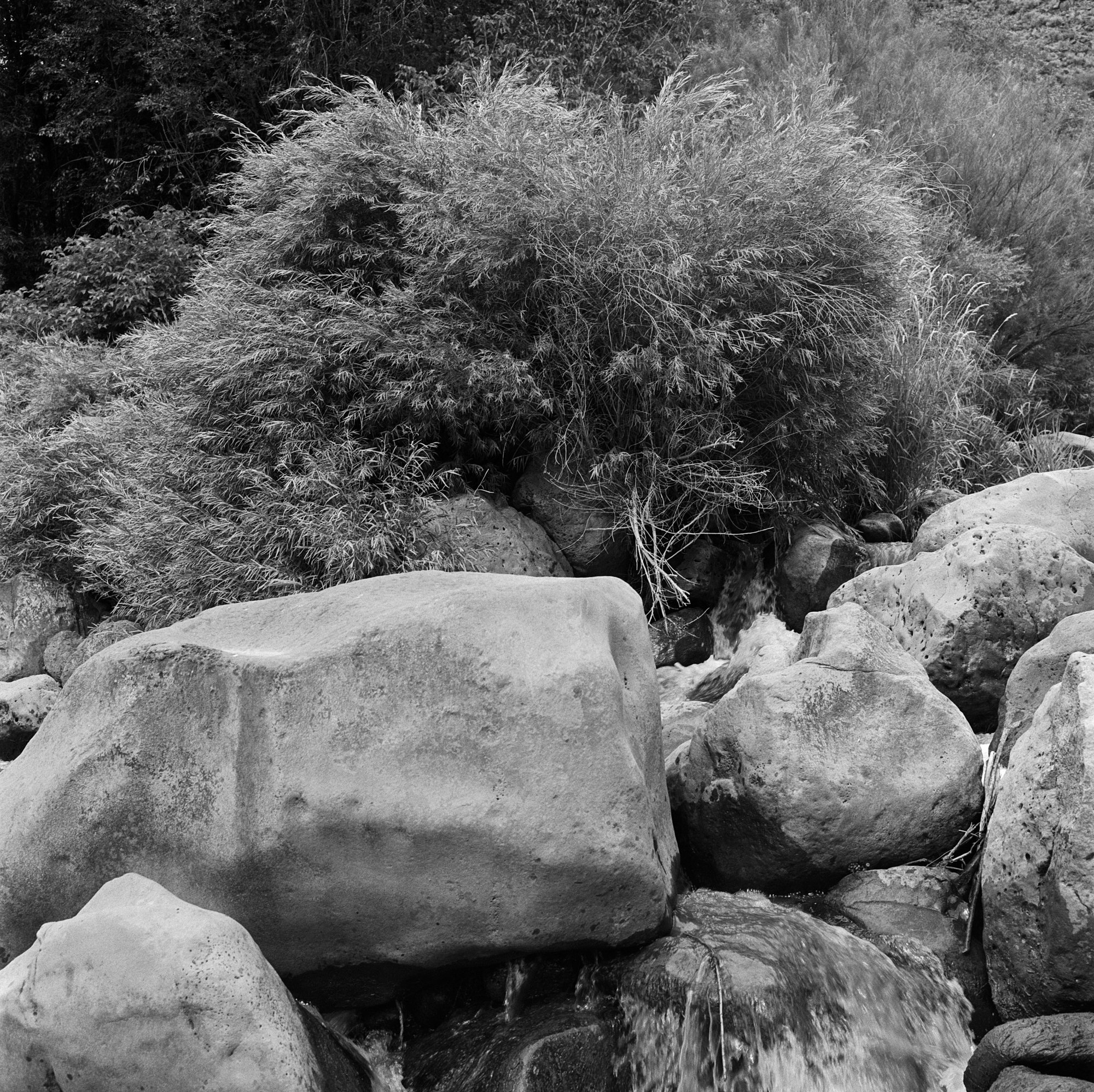 Rio Grande Gorge rio grande ITW 2021 (10 of 12).jpg