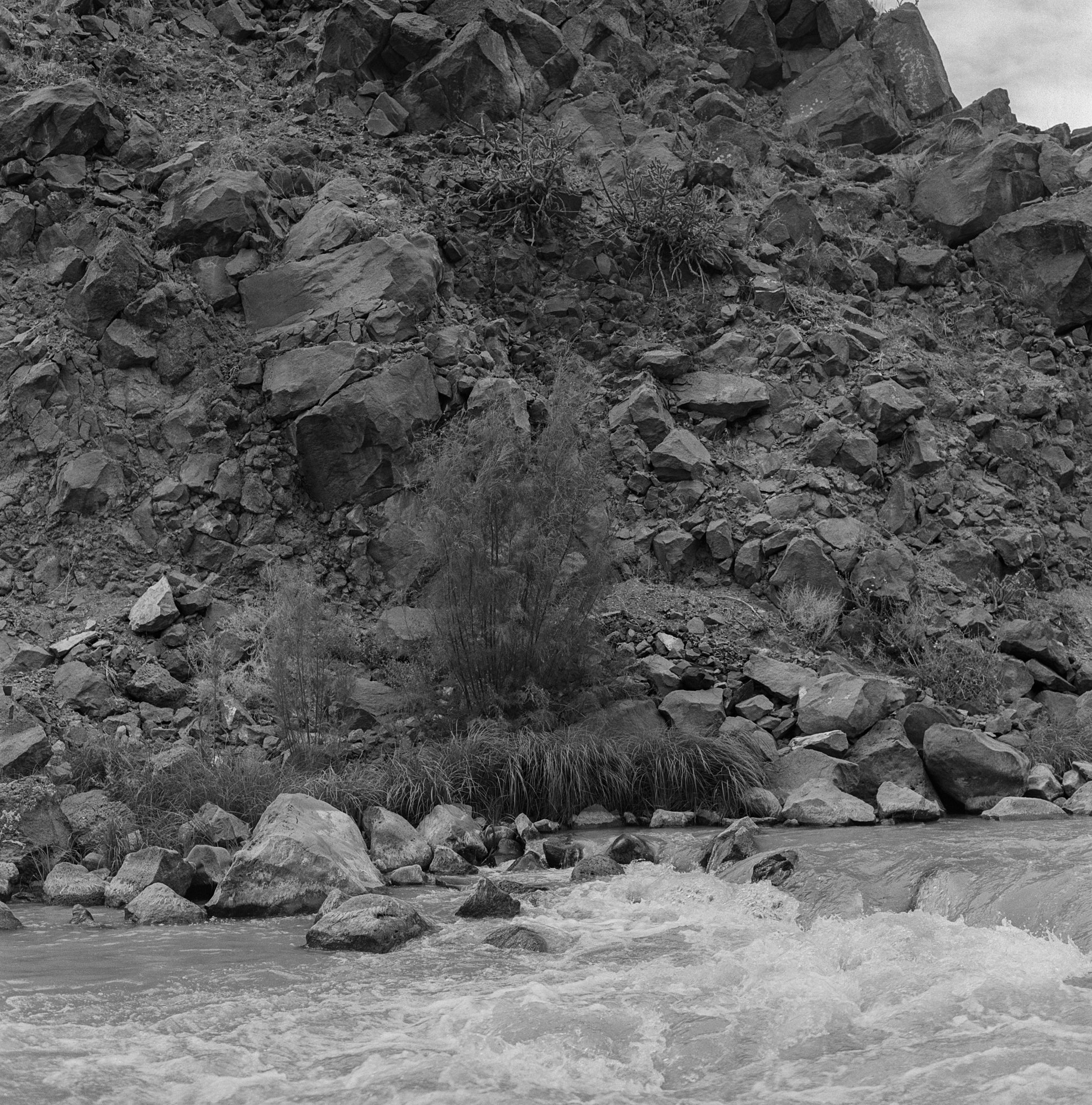 Rio Grande Gorge rio grande ITW 2021 (5 of 12).jpg