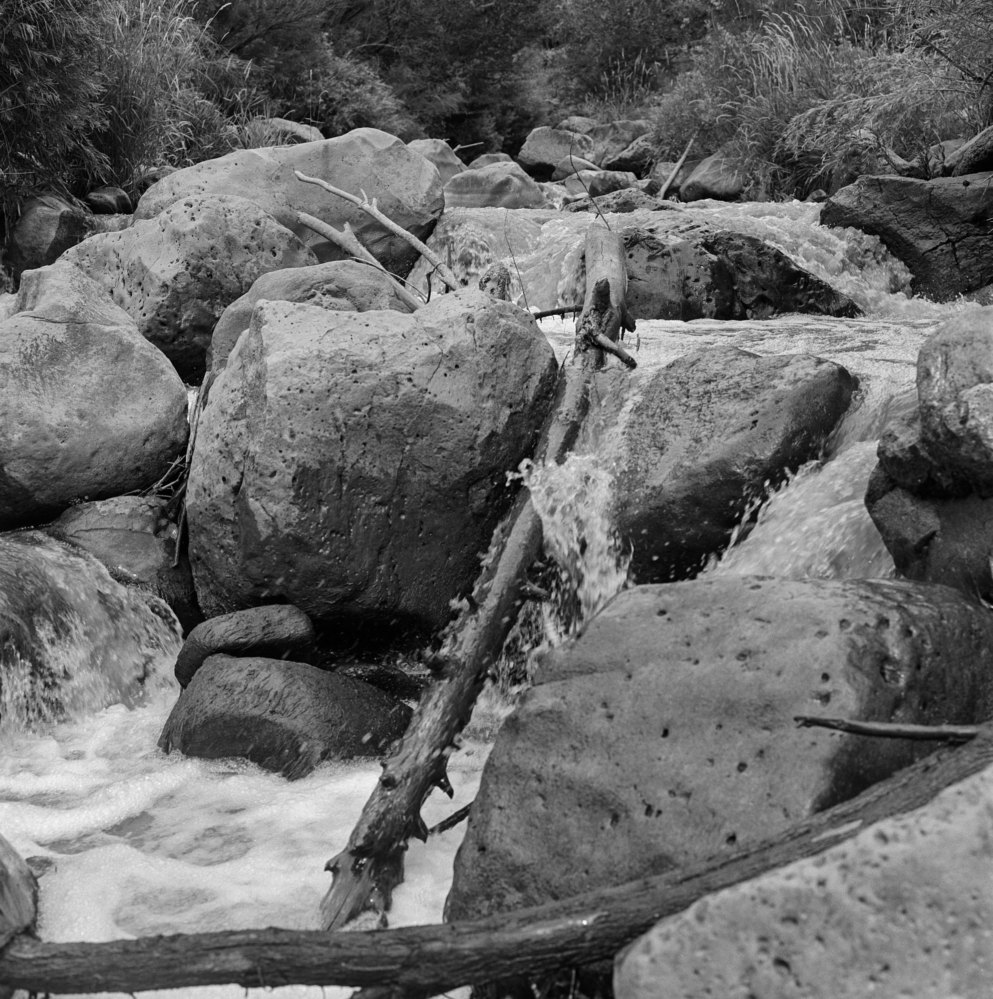 Rio Grande Gorge rio grande ITW 2021 (9 of 12).jpg