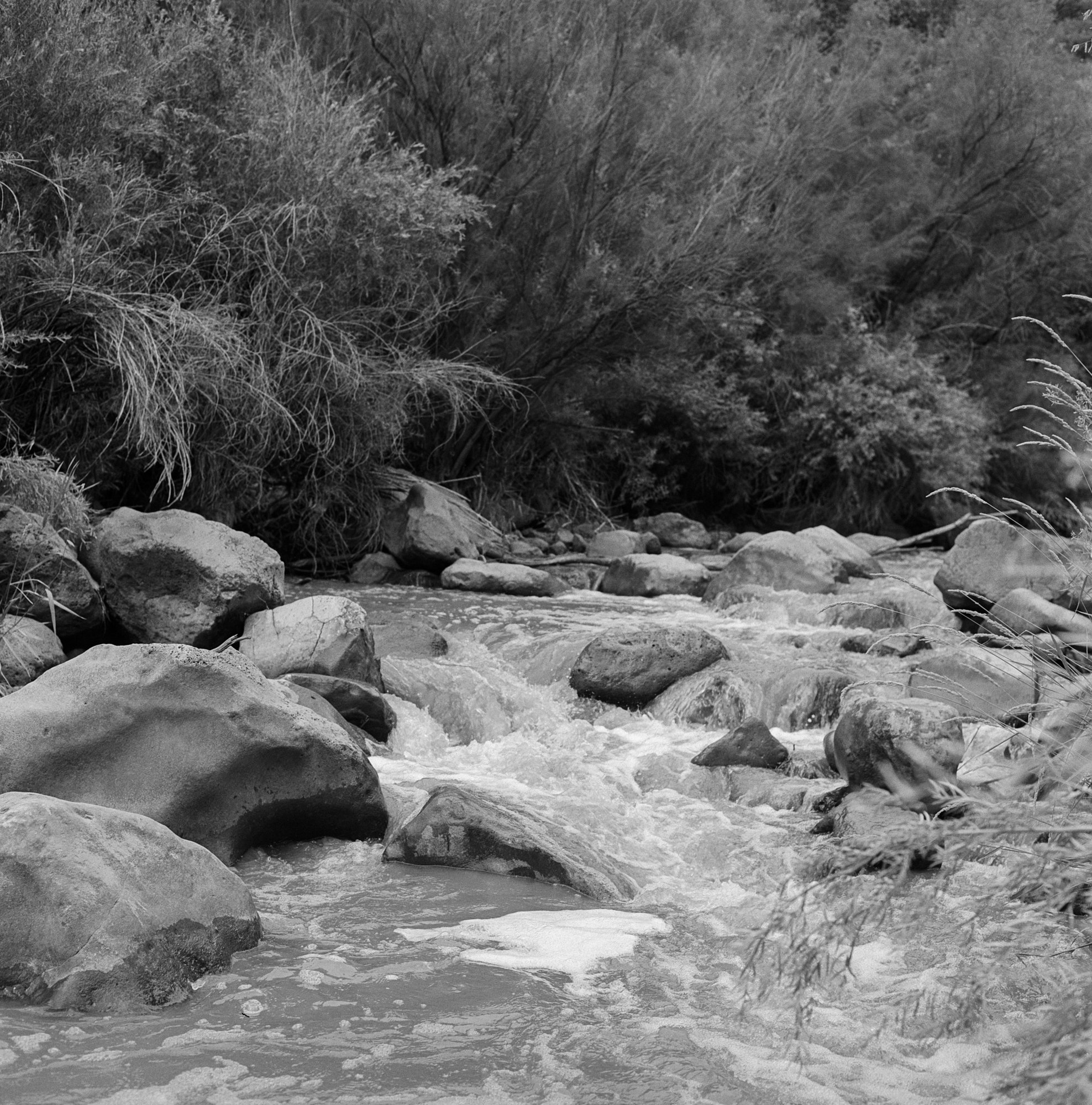 Rio Grande Gorge rio grande ITW 2021 (3 of 12).jpg
