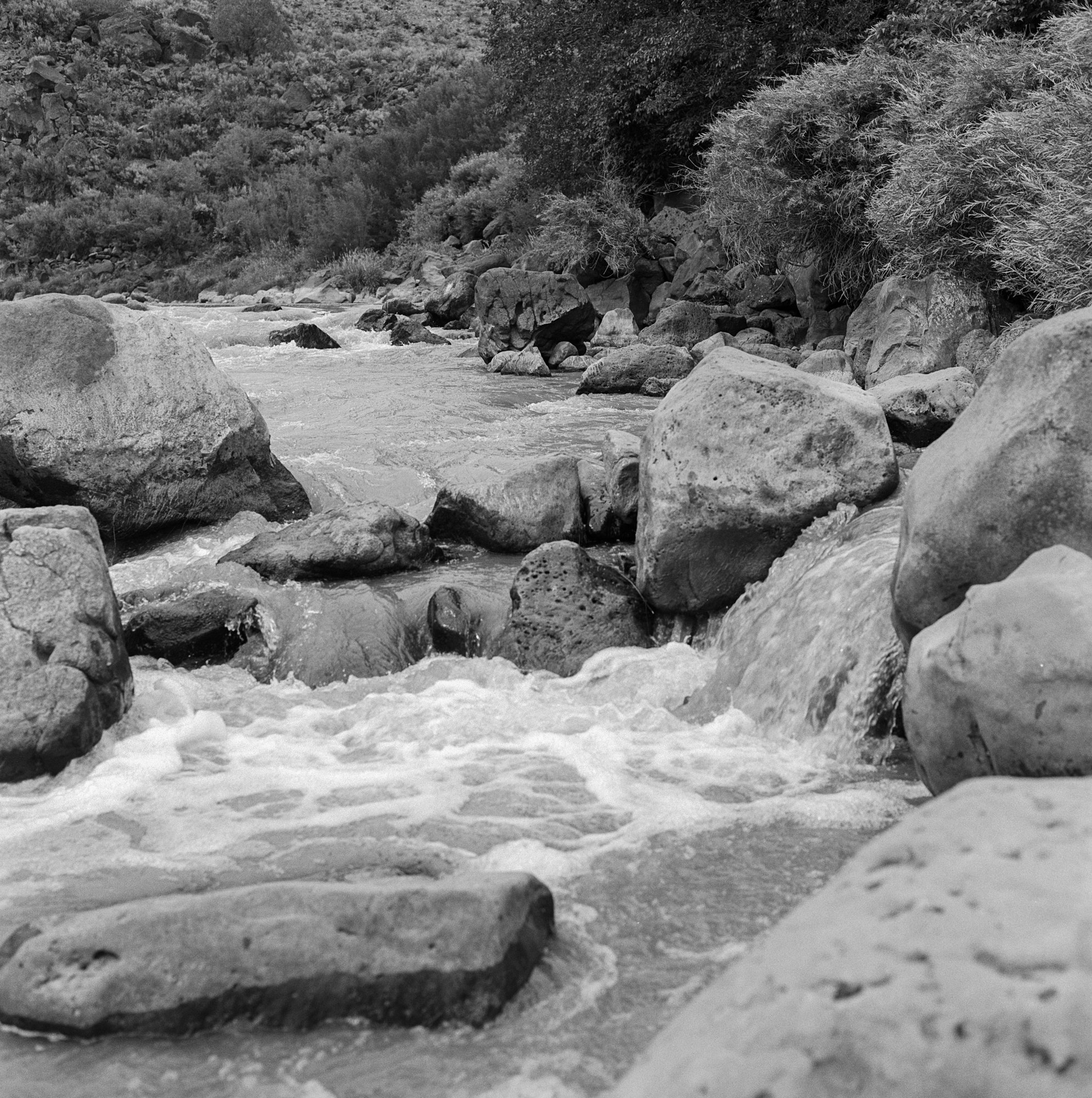 Rio Grande Gorge rio grande ITW 2021 (4 of 12).jpg