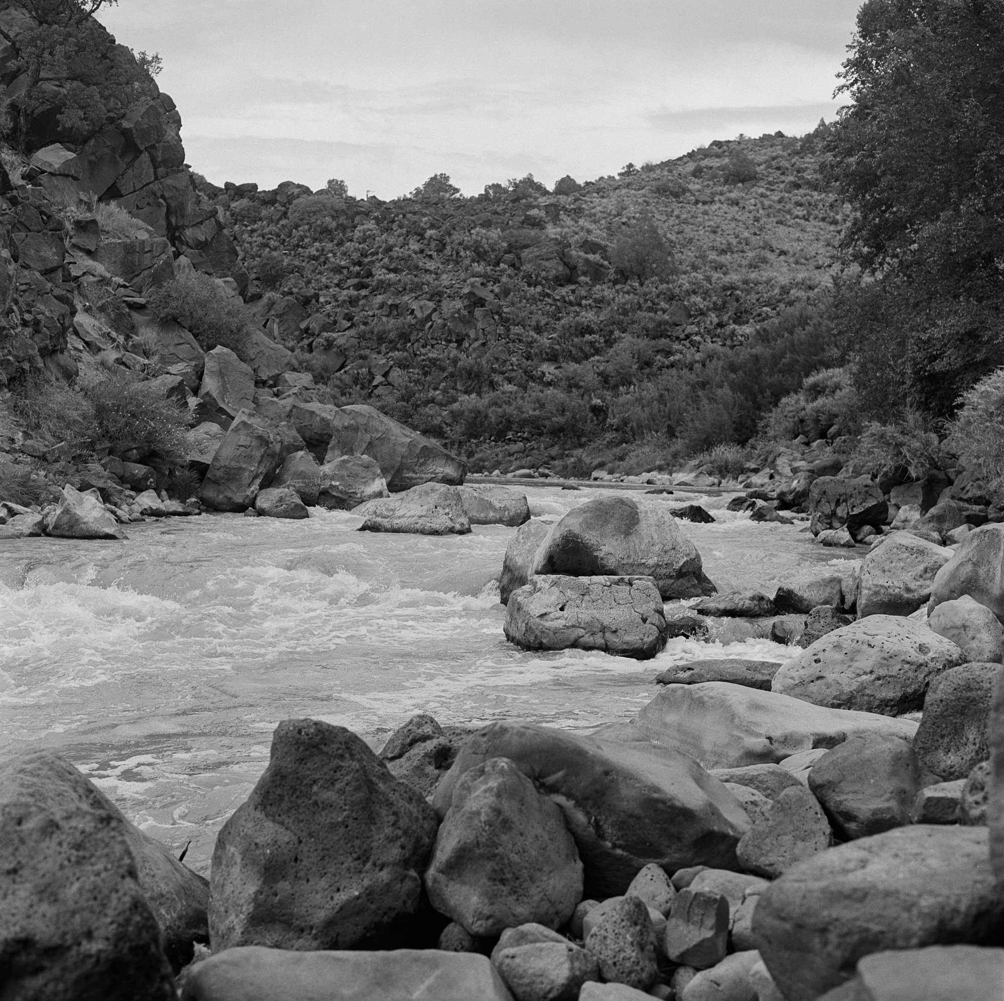 Rio Grande Gorge rio grande ITW 2021 (6 of 12).jpg