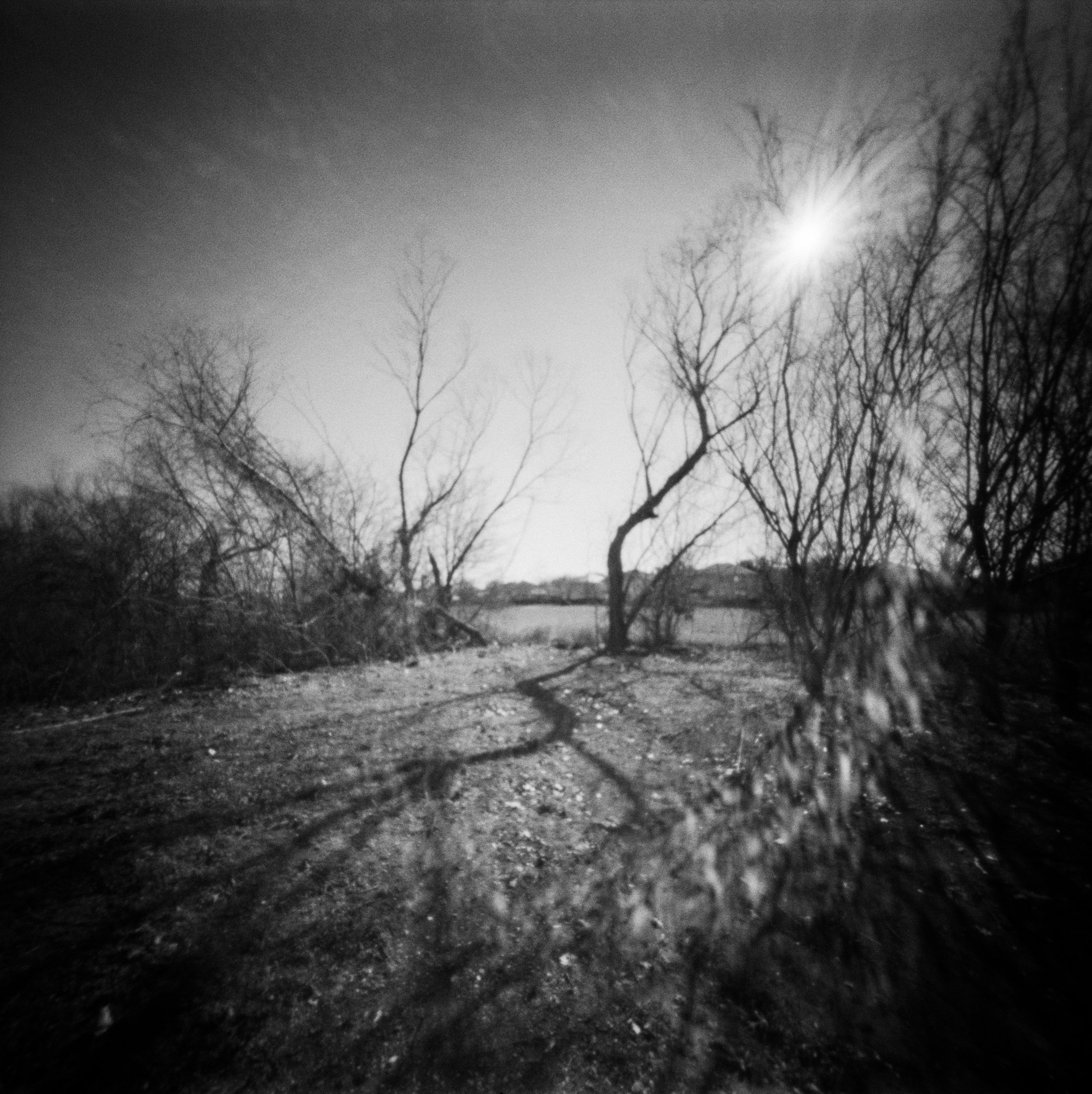 the secret place (6 of 6).jpg