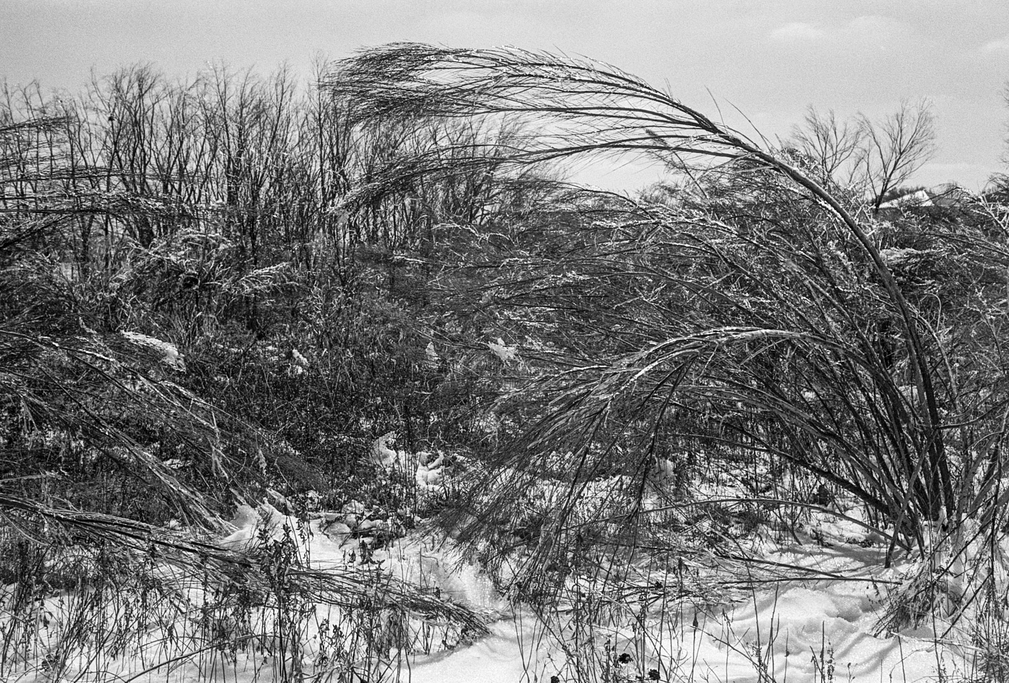 the secret place snow (1 of 2)-2.jpg