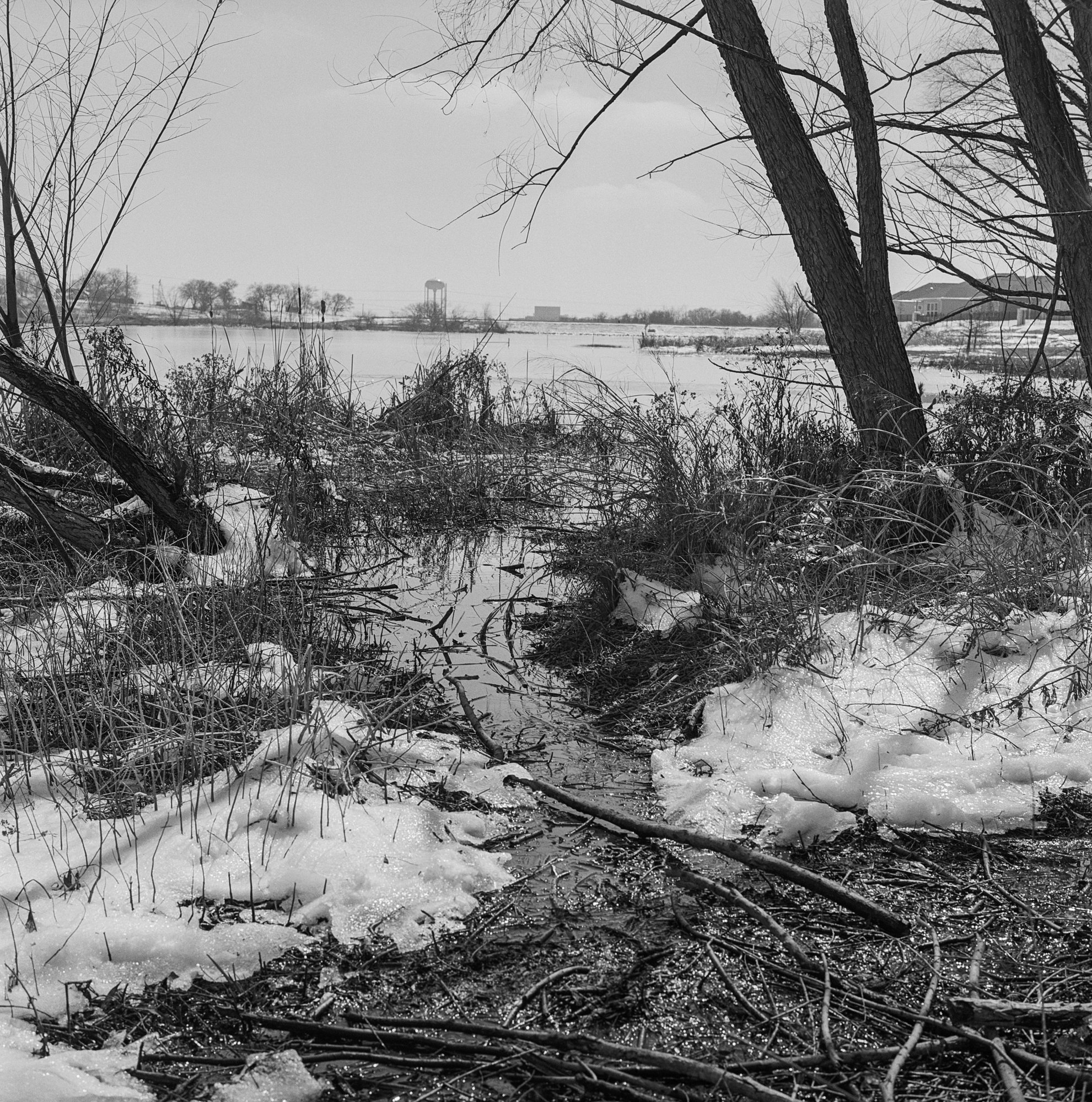 the secret place snow (2 of 2).jpg