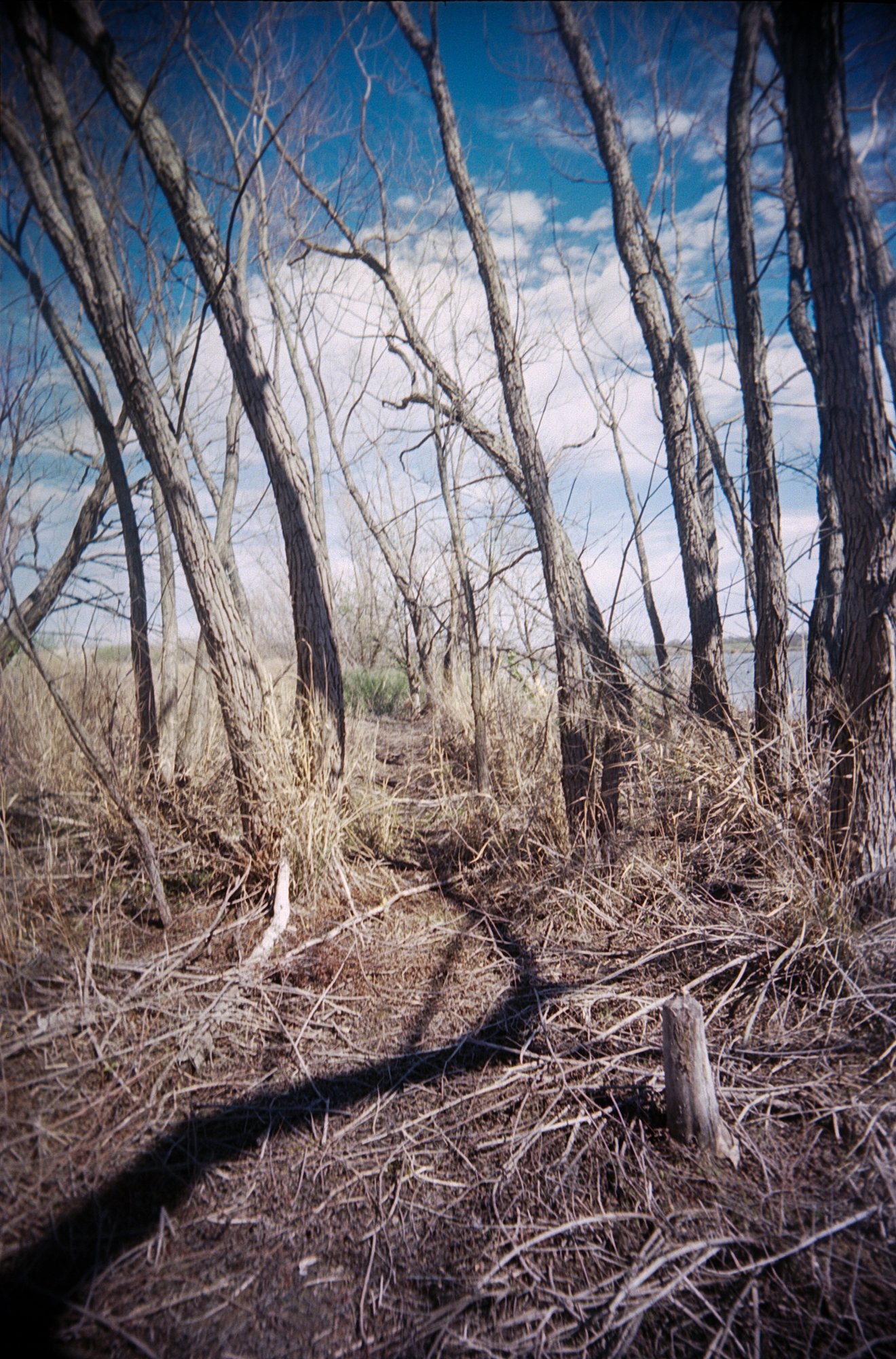 the secret place (1 of 7).jpg