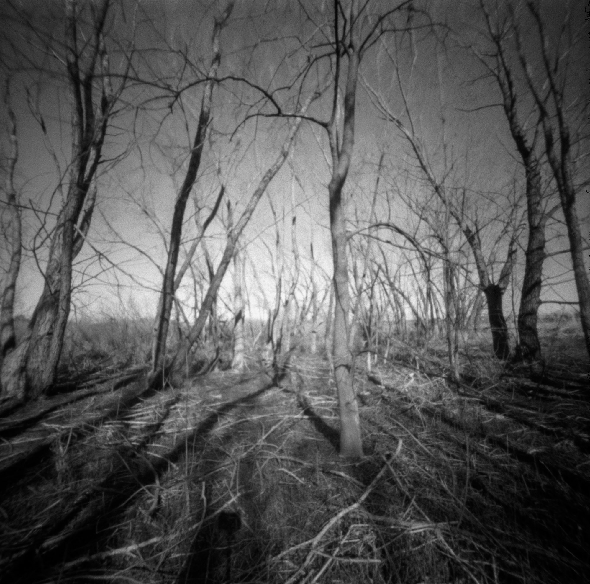 the secret place (5 of 6).jpg