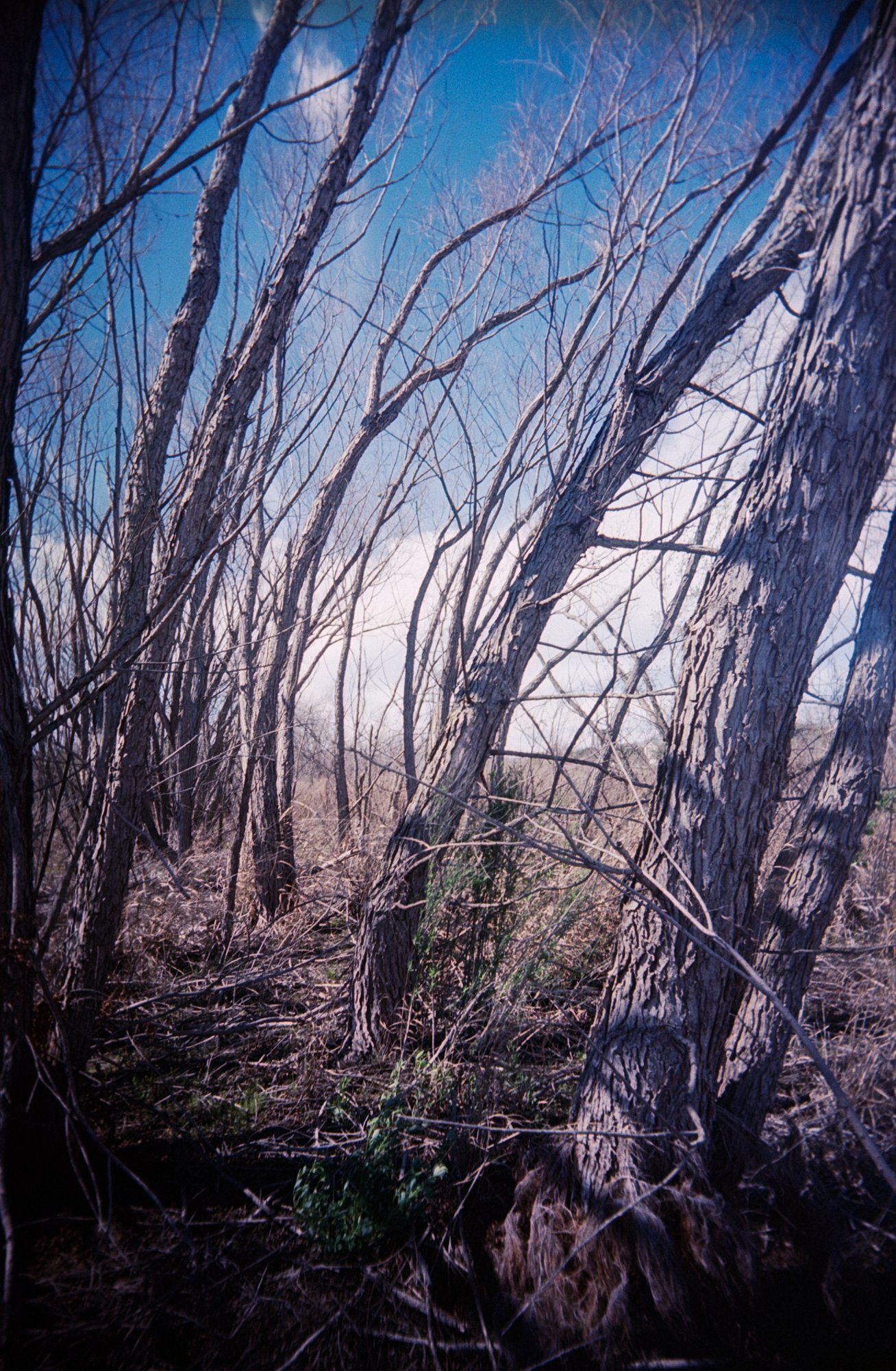 the secret place (1 of 1).jpg