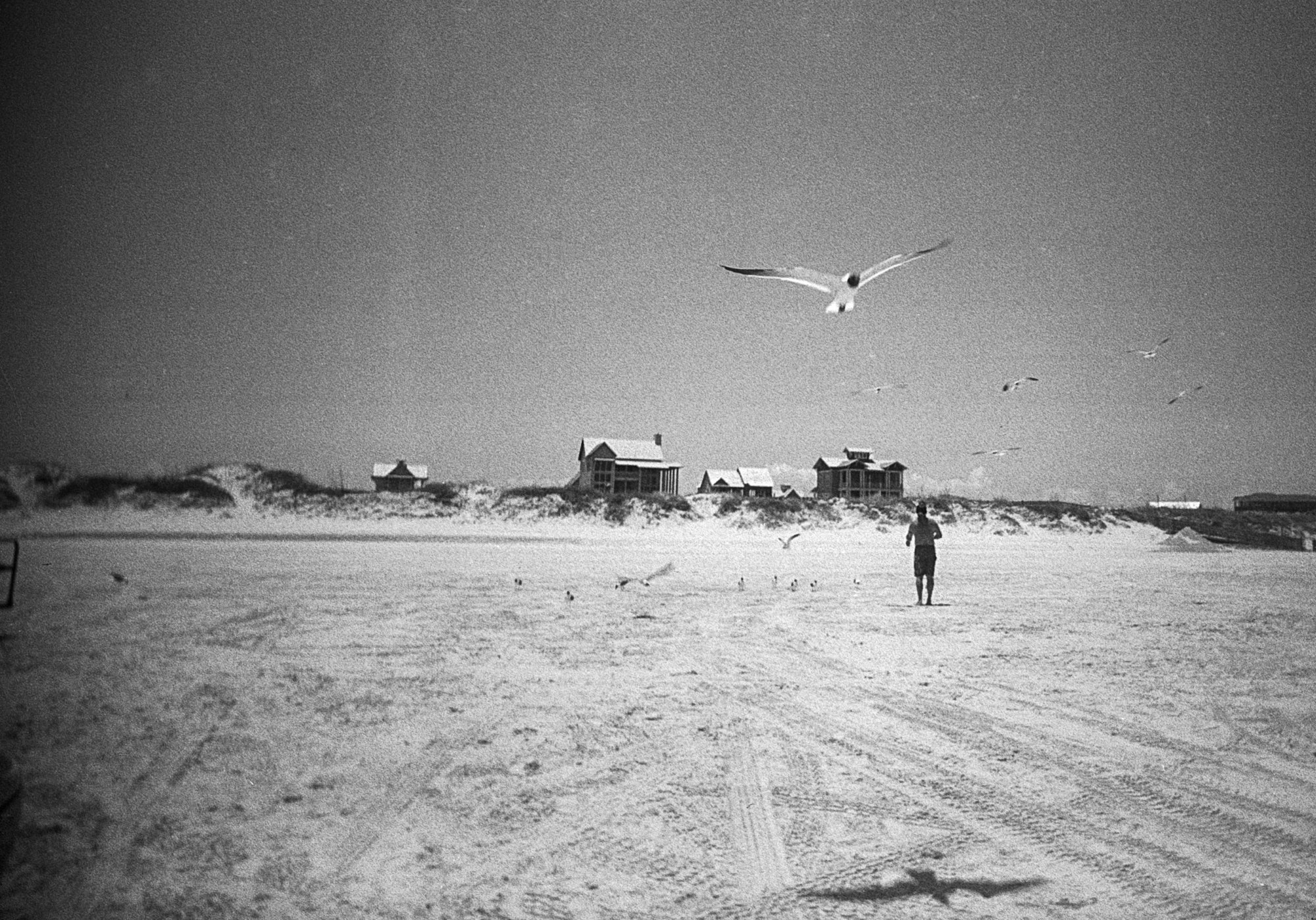 port a 2022 vivtar uws (6 of 7).jpg