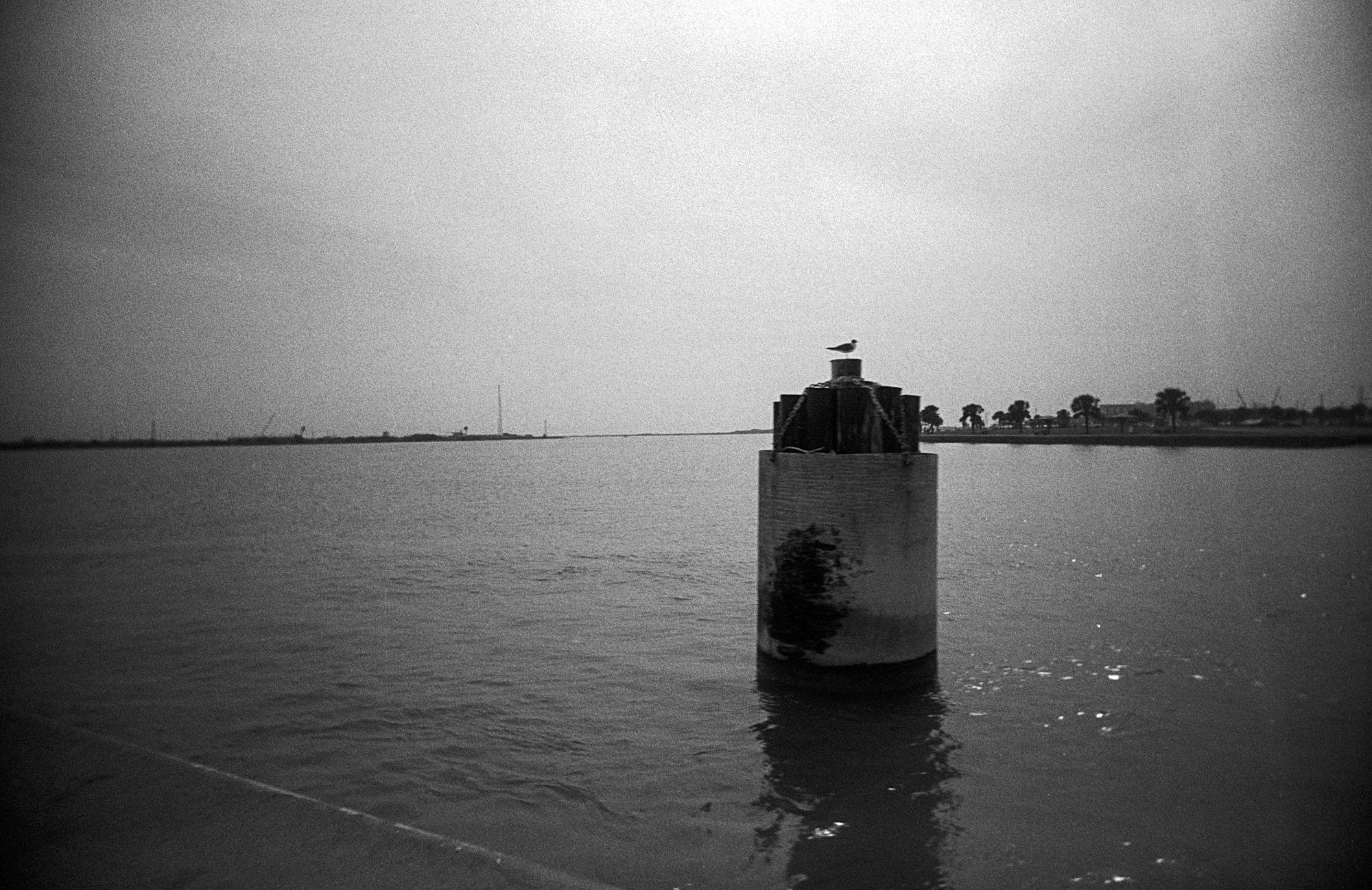 port a 2022 vivtar uws (1 of 7).jpg